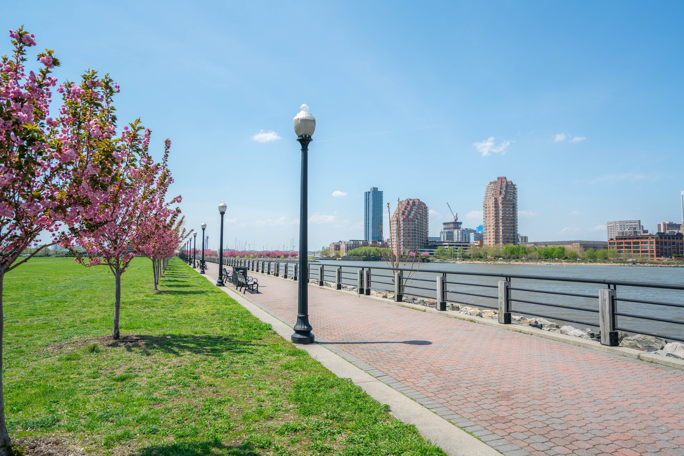 214 Halladay Street, #1