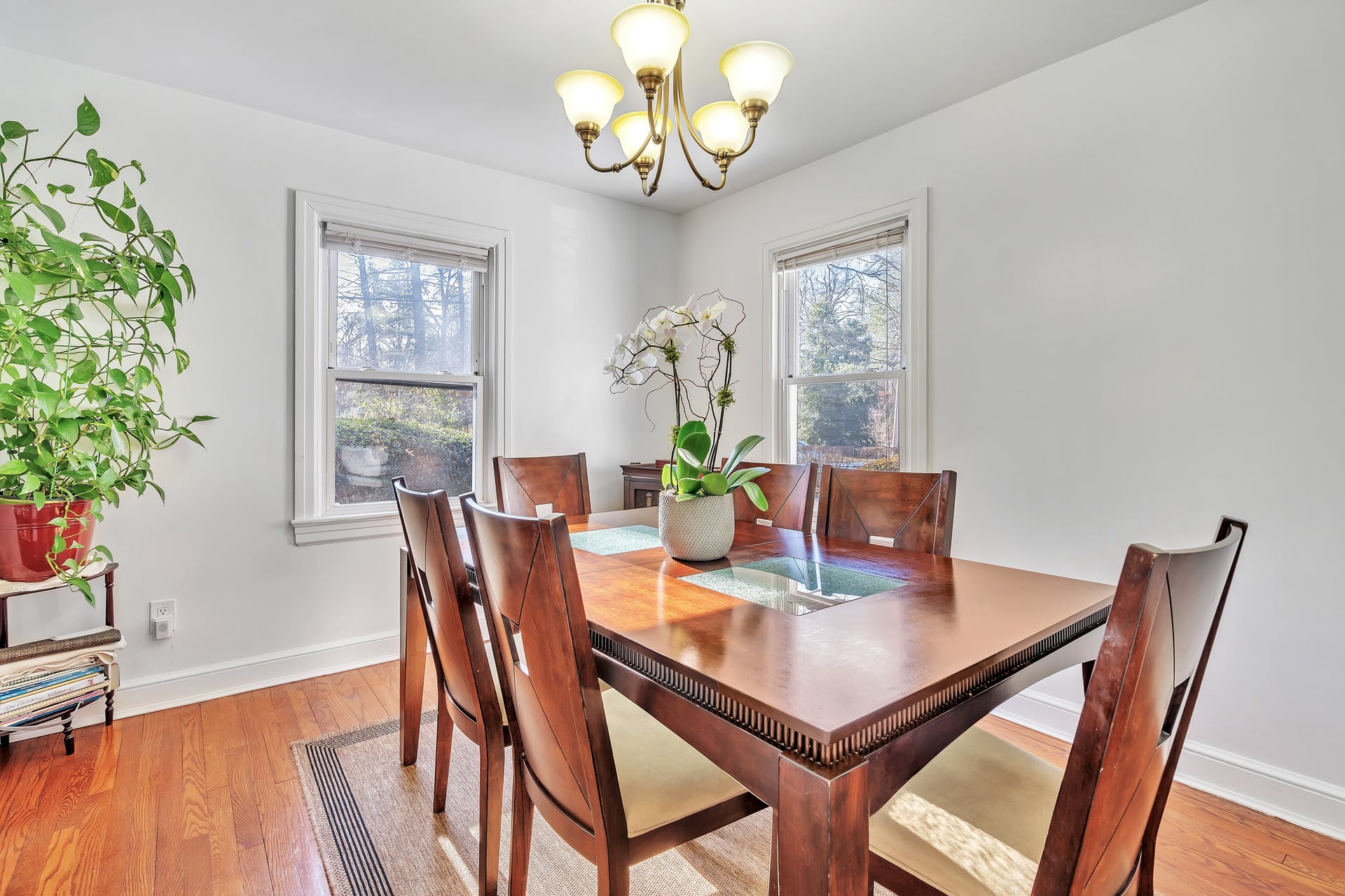 459 Voorhees St