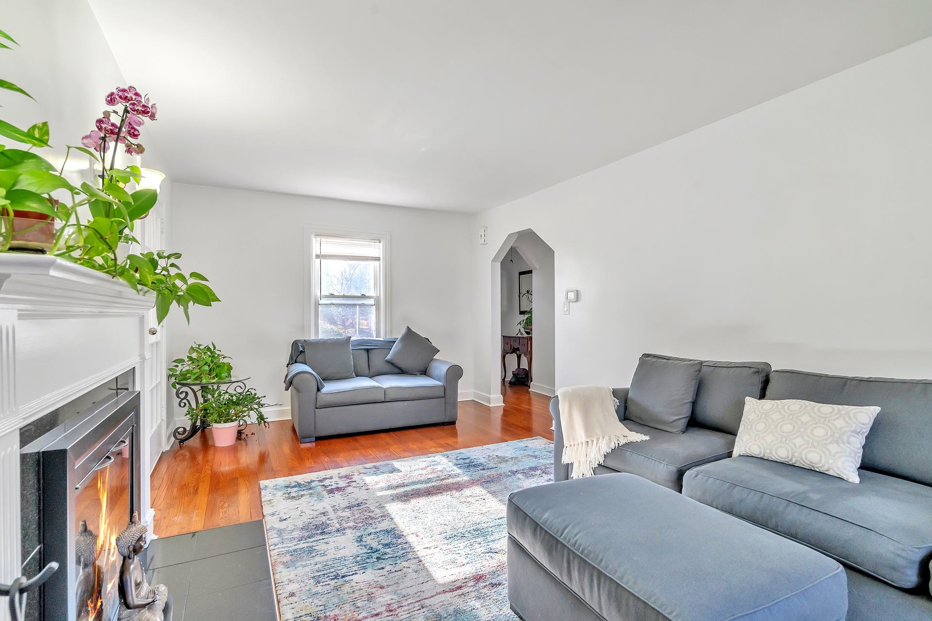 459 Voorhees St