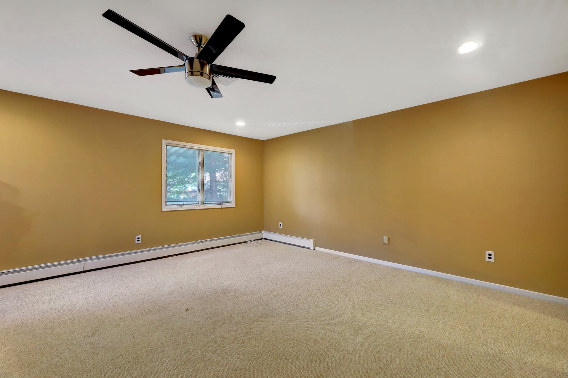 3 Black Briar Lane