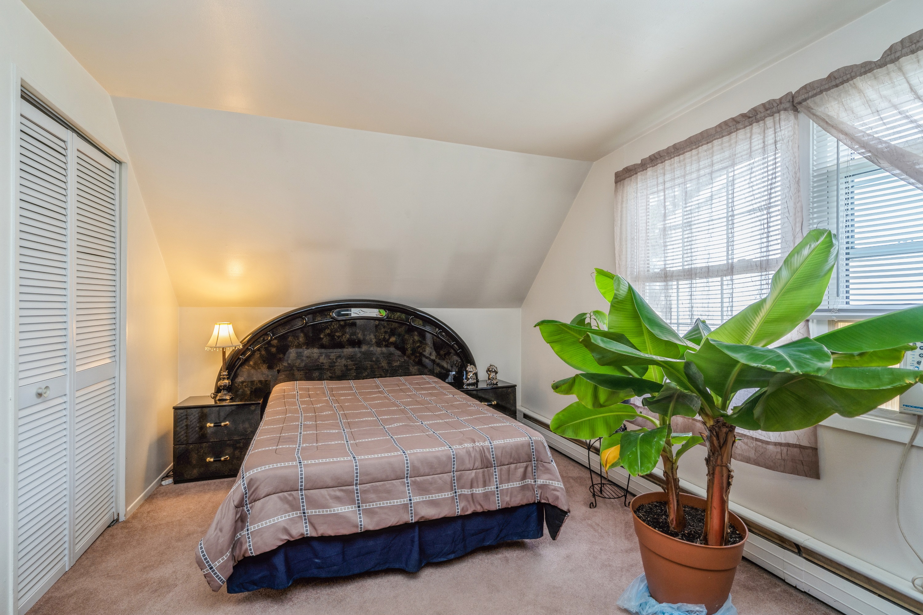 21 Palfrey Lane