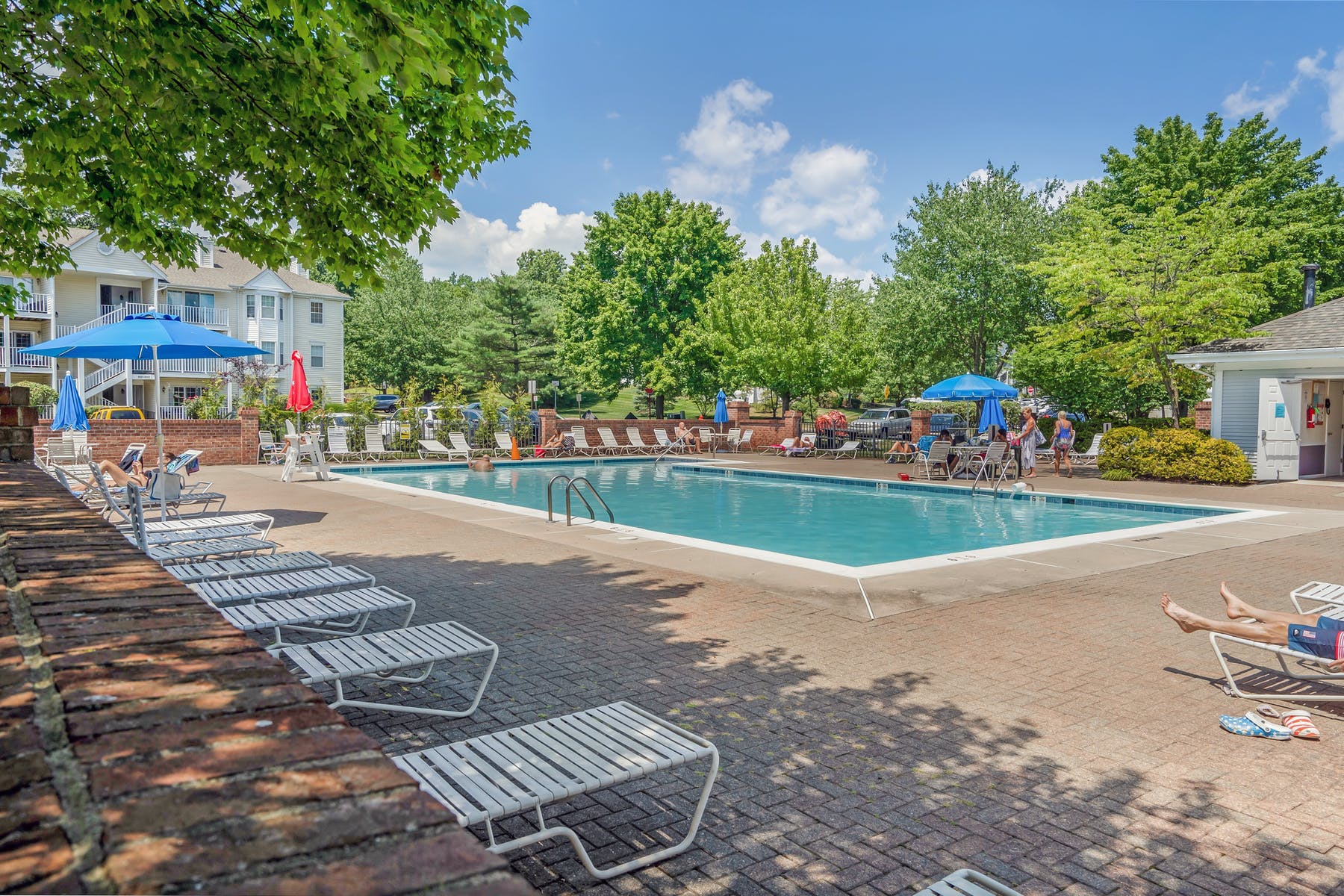 774 Sassafras Court