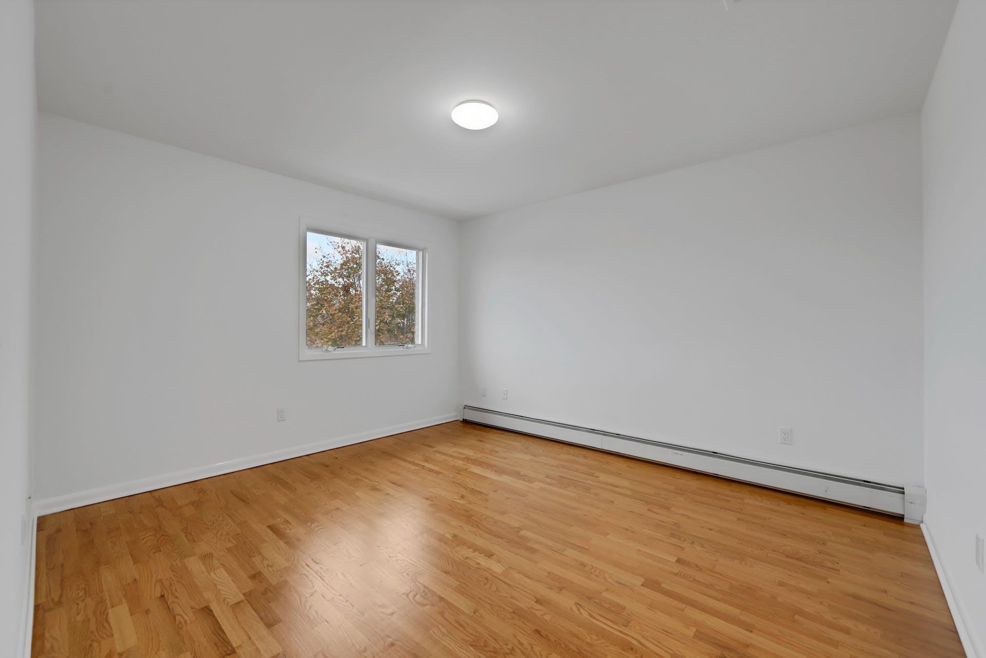 313 8th Street