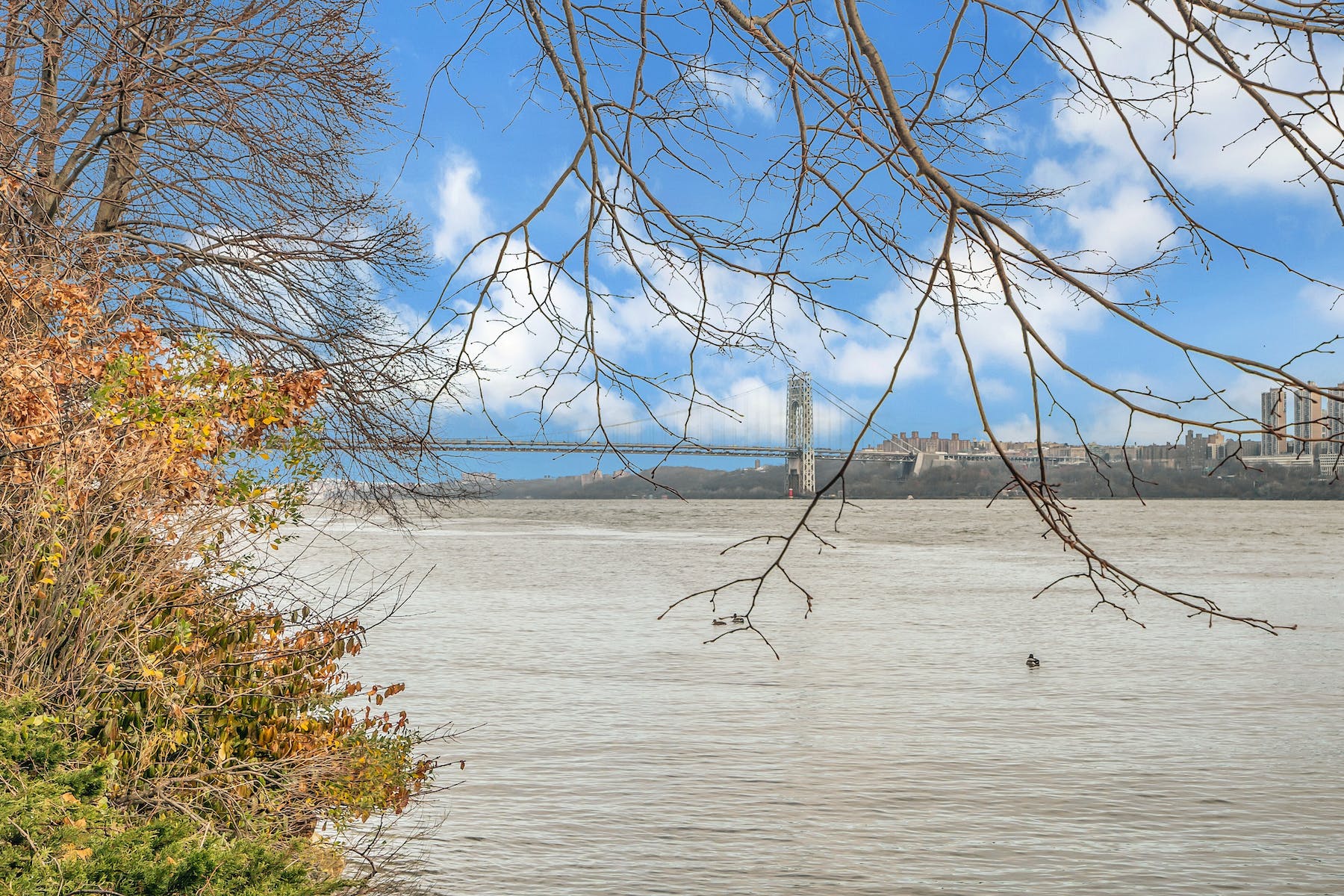 1077 River Road, #313