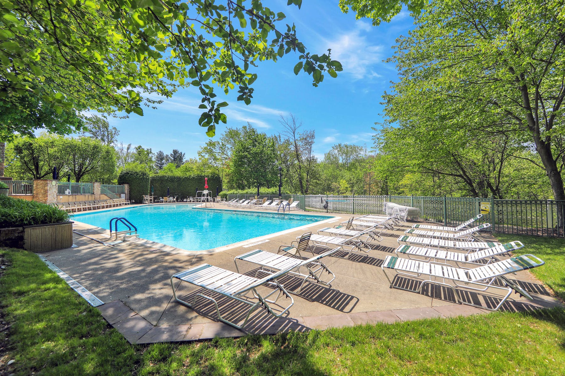 1295 Paddington Road 