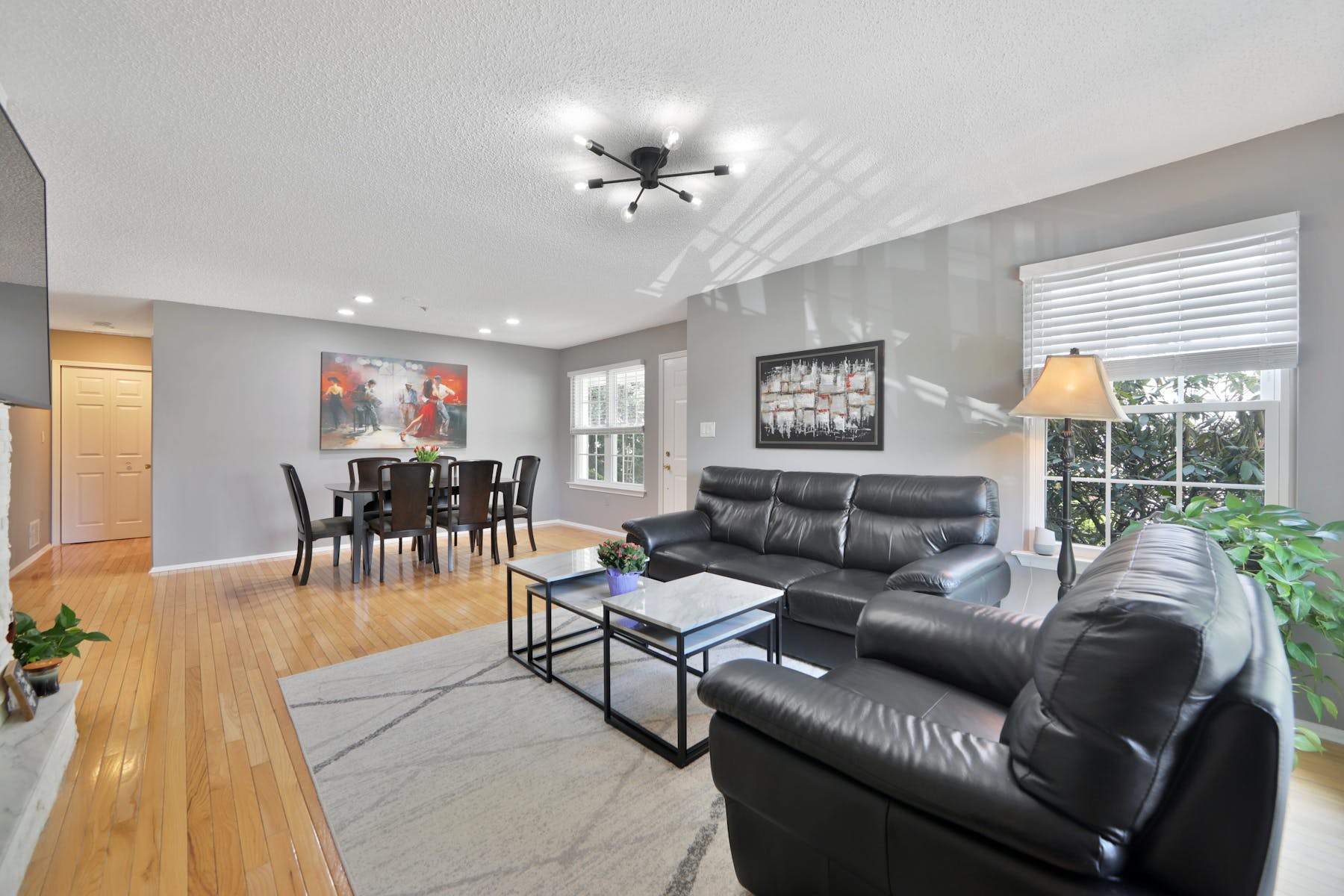 1295 Paddington Road 