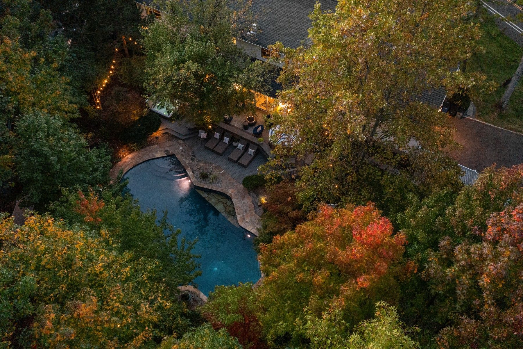 76 Tree Top Drive 