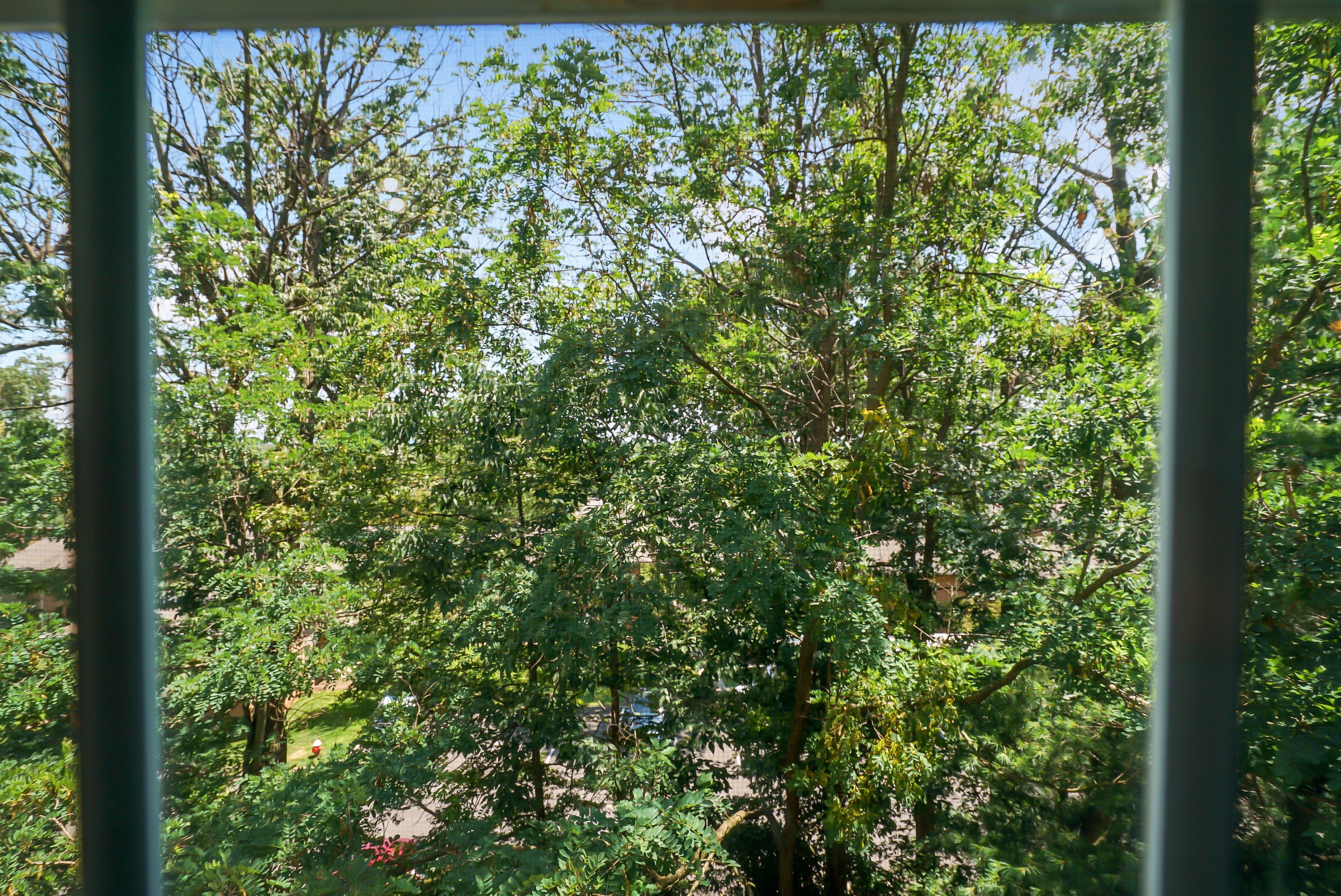 504 Tallwood Lane 