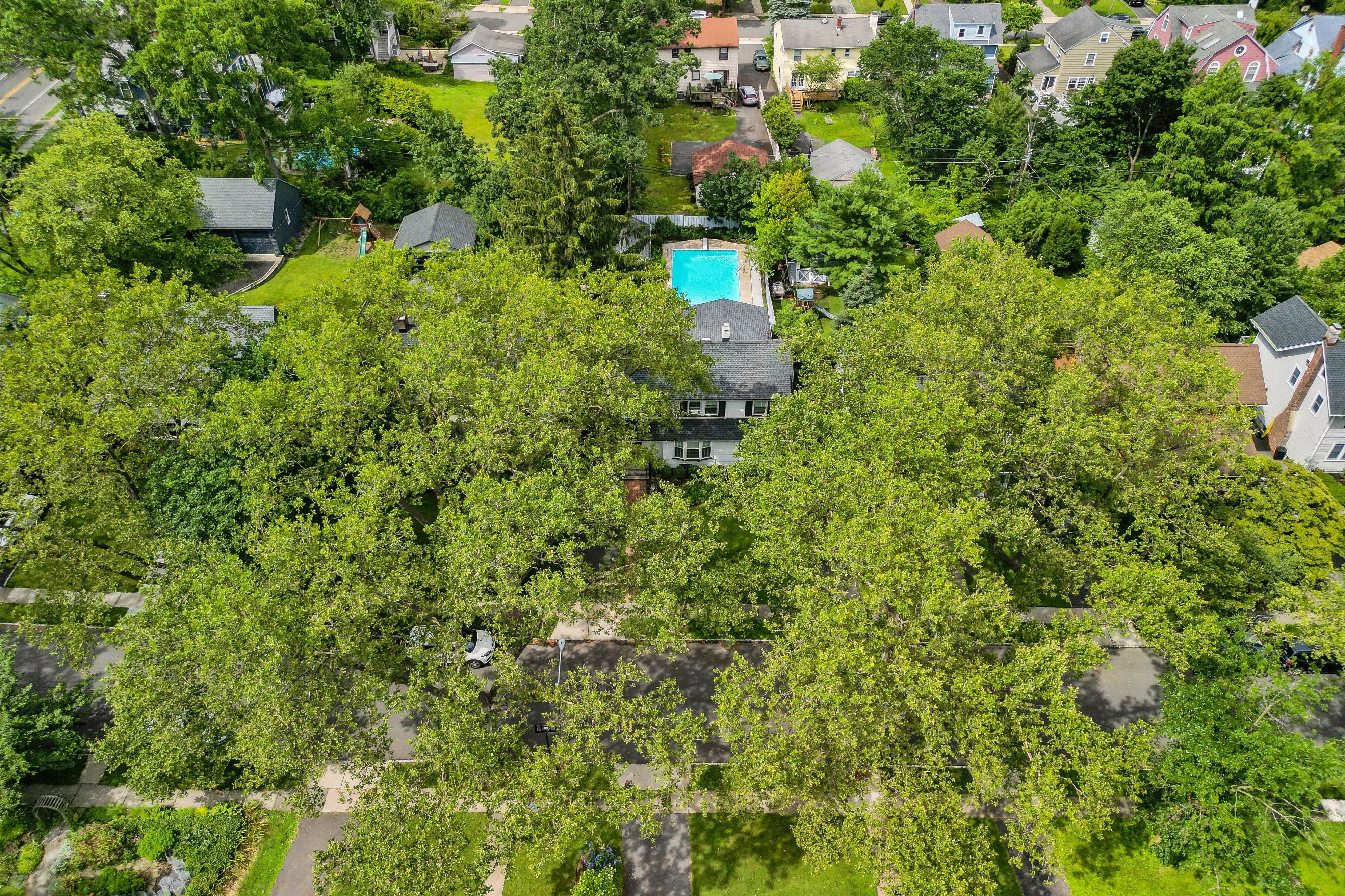 61 Beverly Road