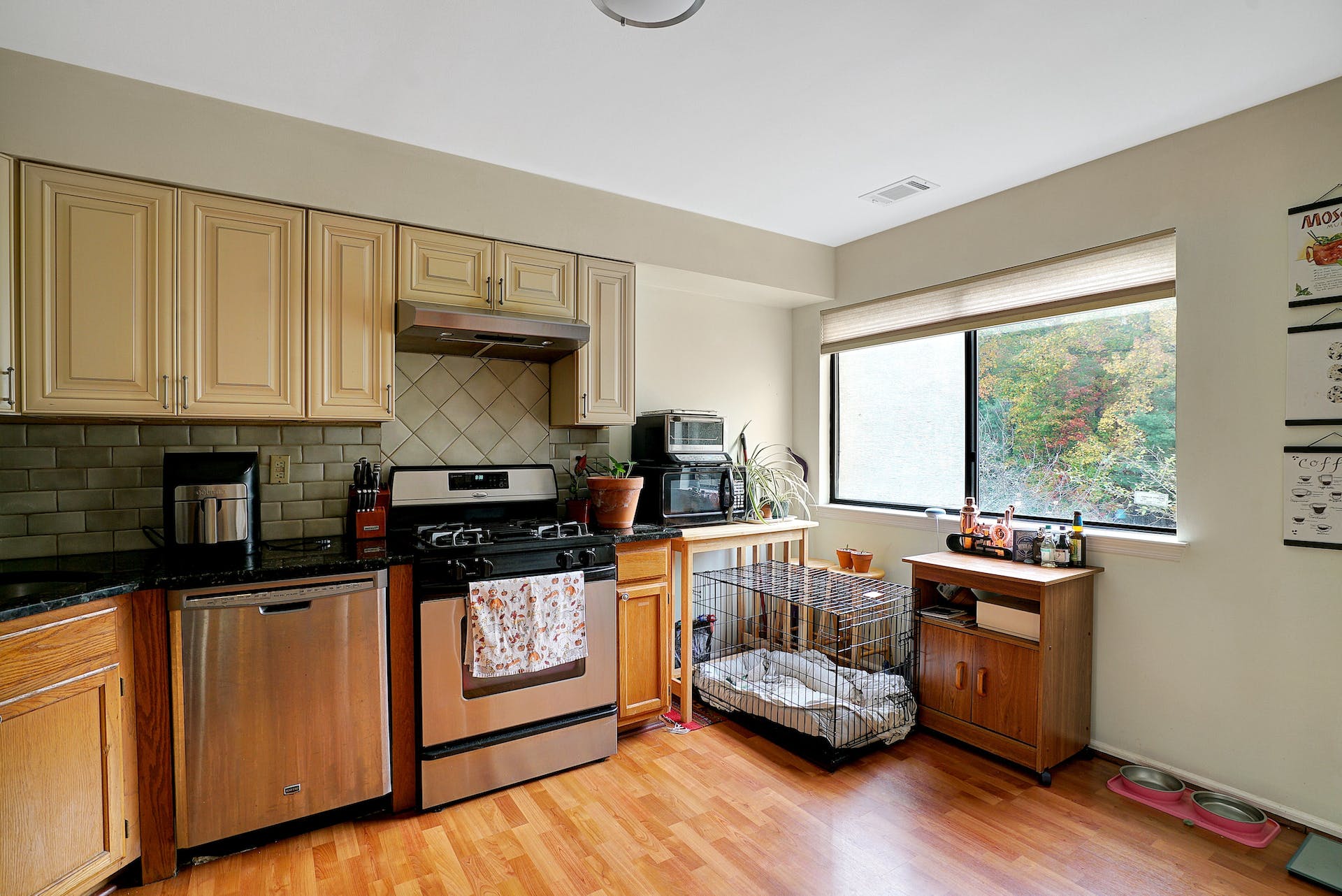 3708 Birchwood Court