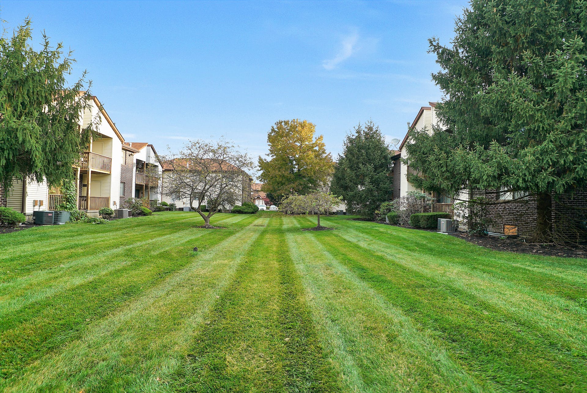 3708 Birchwood Court