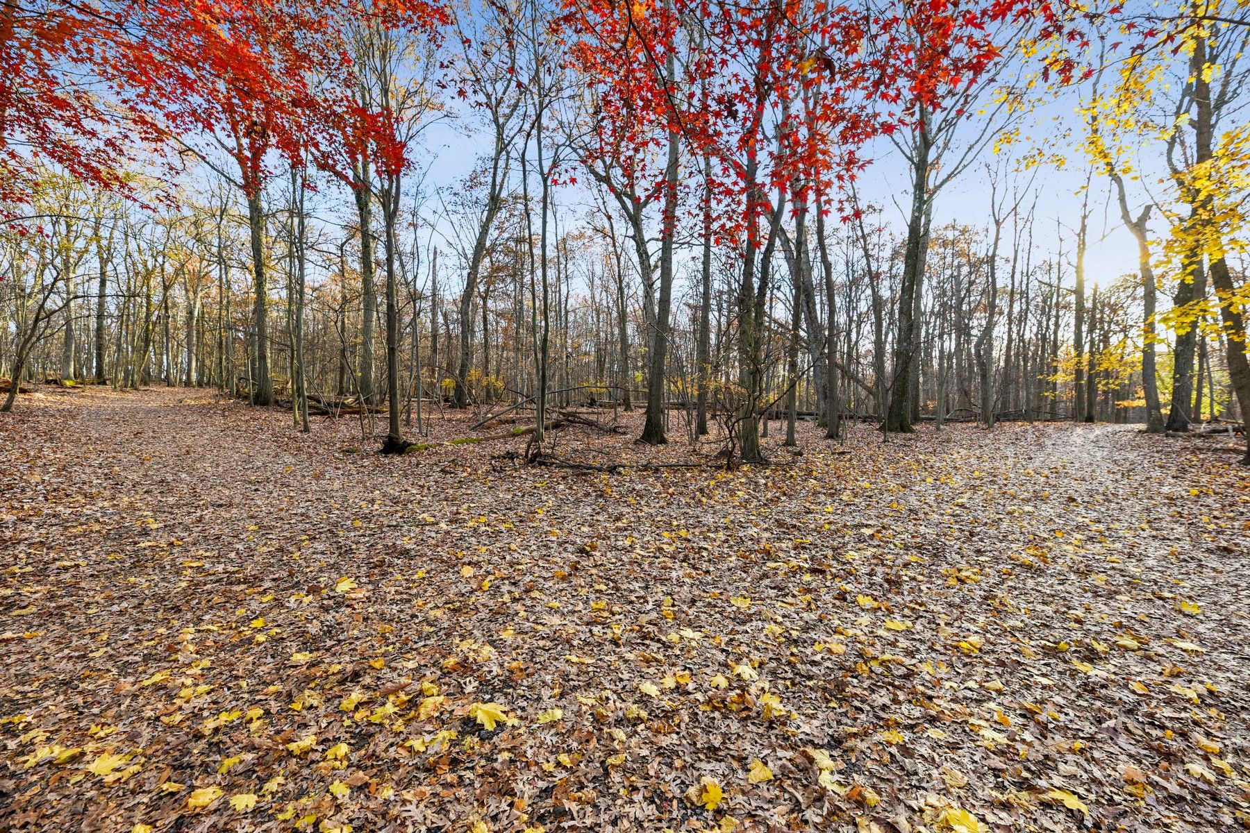 570 Upper Mountain Avenue Unit# #2