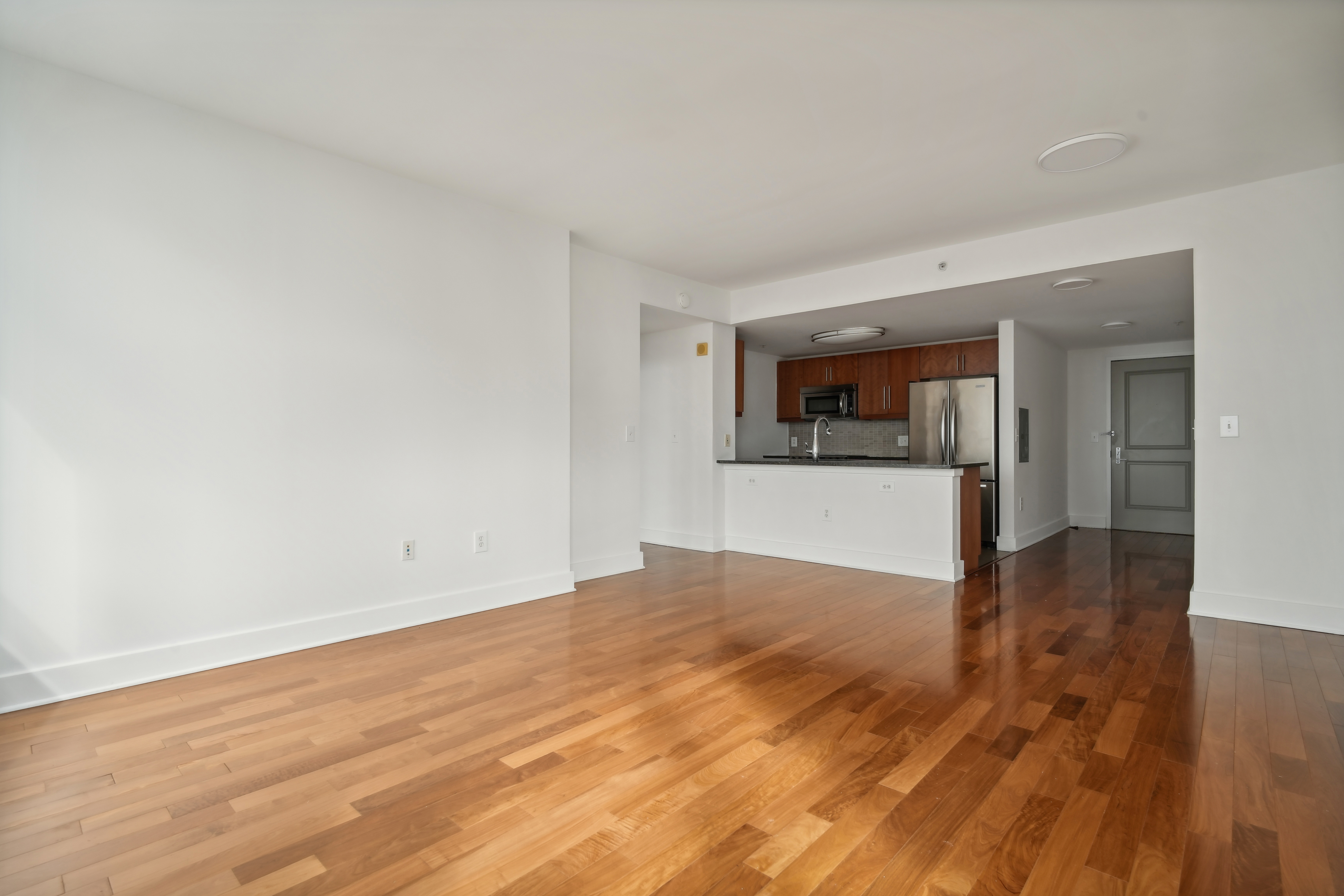 88 Morgan St Apt 4709 