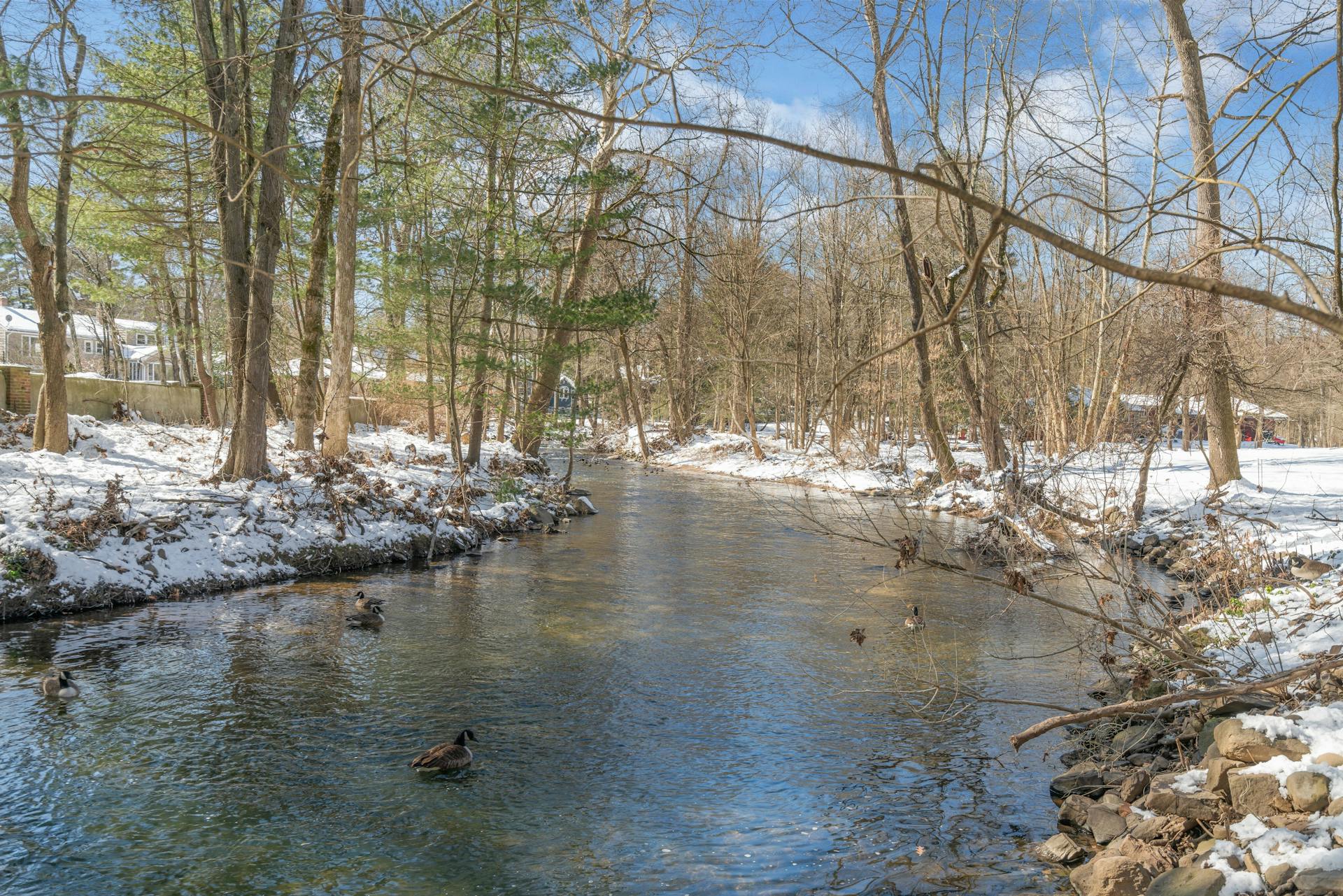 622 East Saddle River Road 