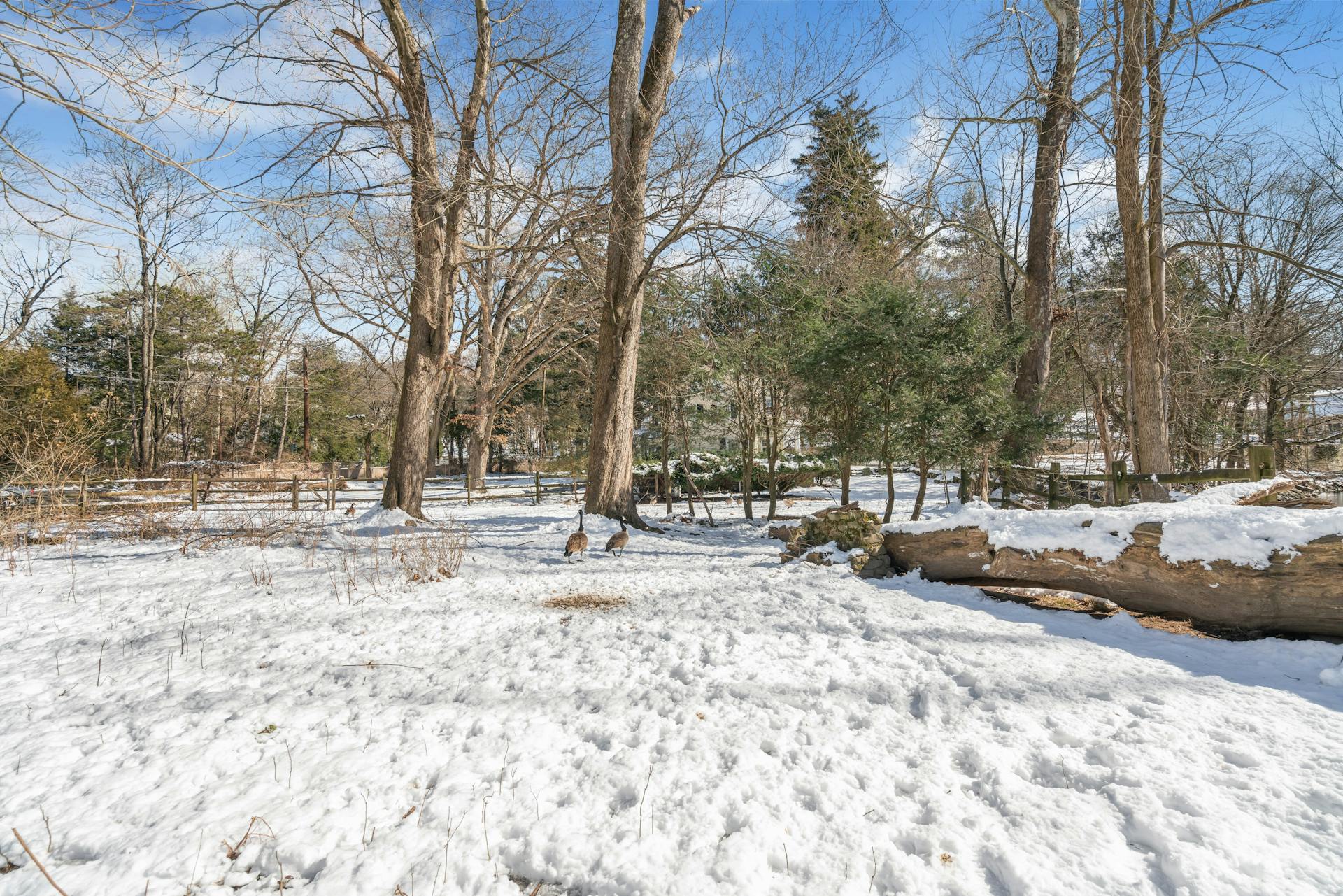 622 East Saddle River Road 