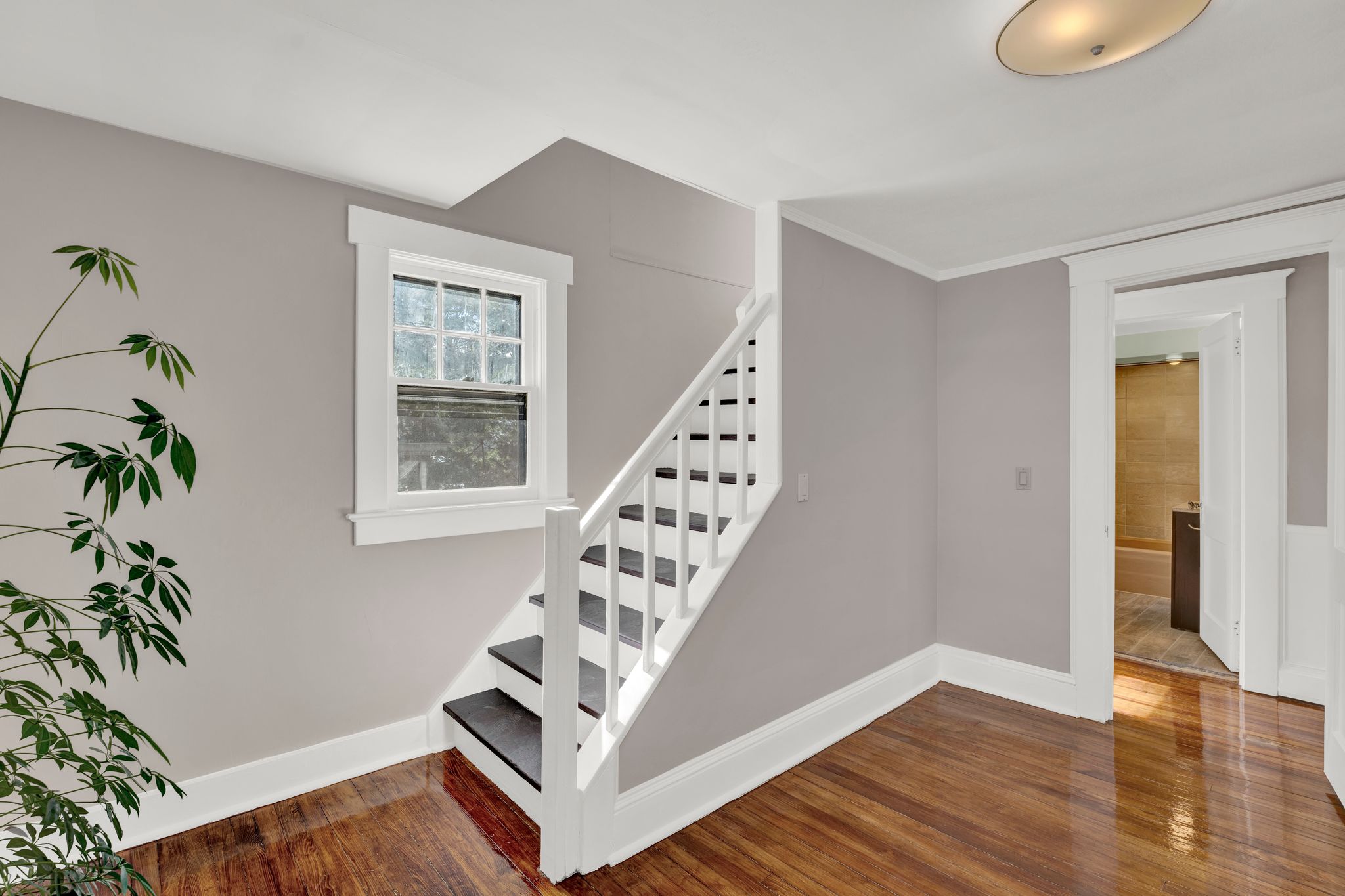 310 Franklin Turnpike 