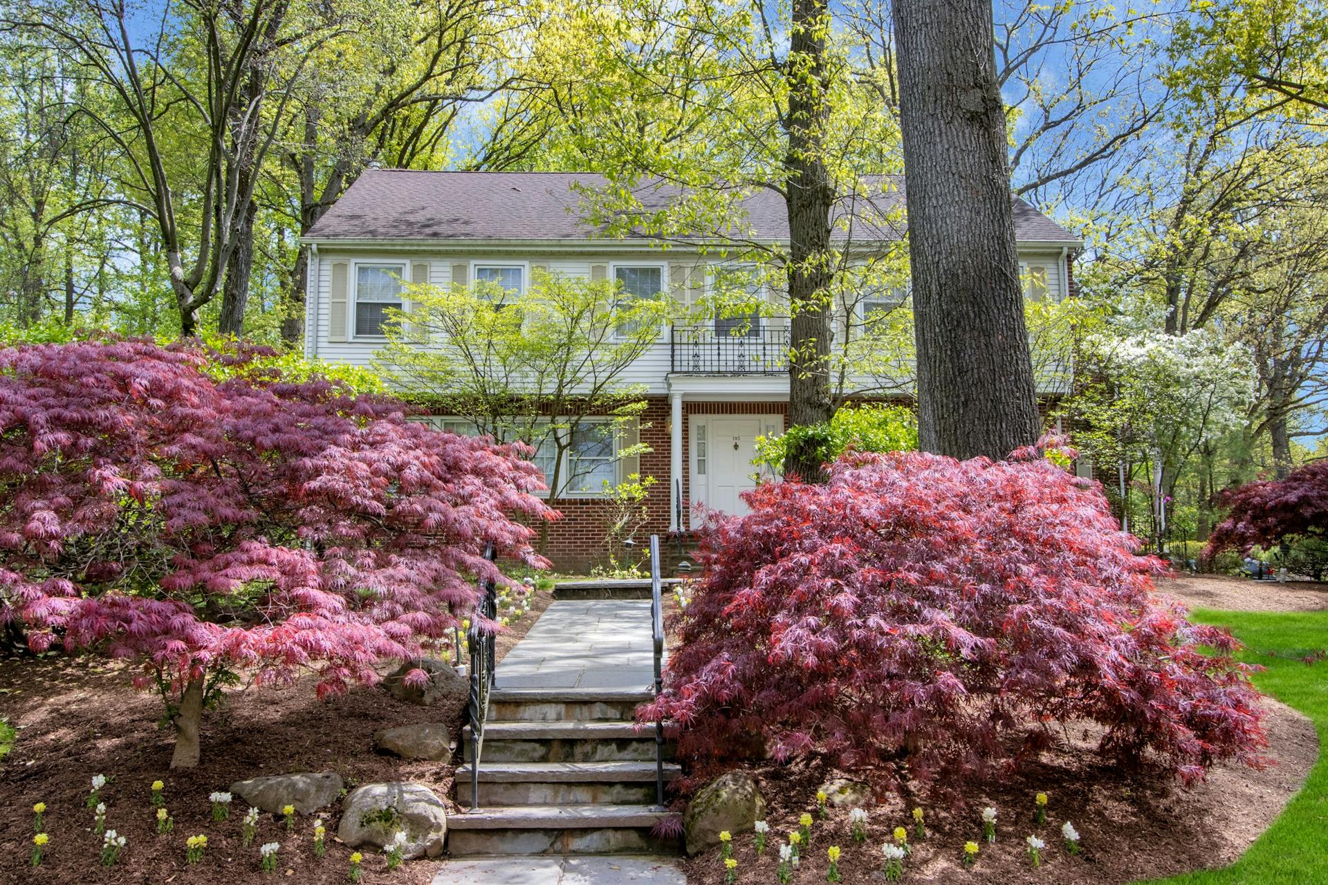 195 Elm Road