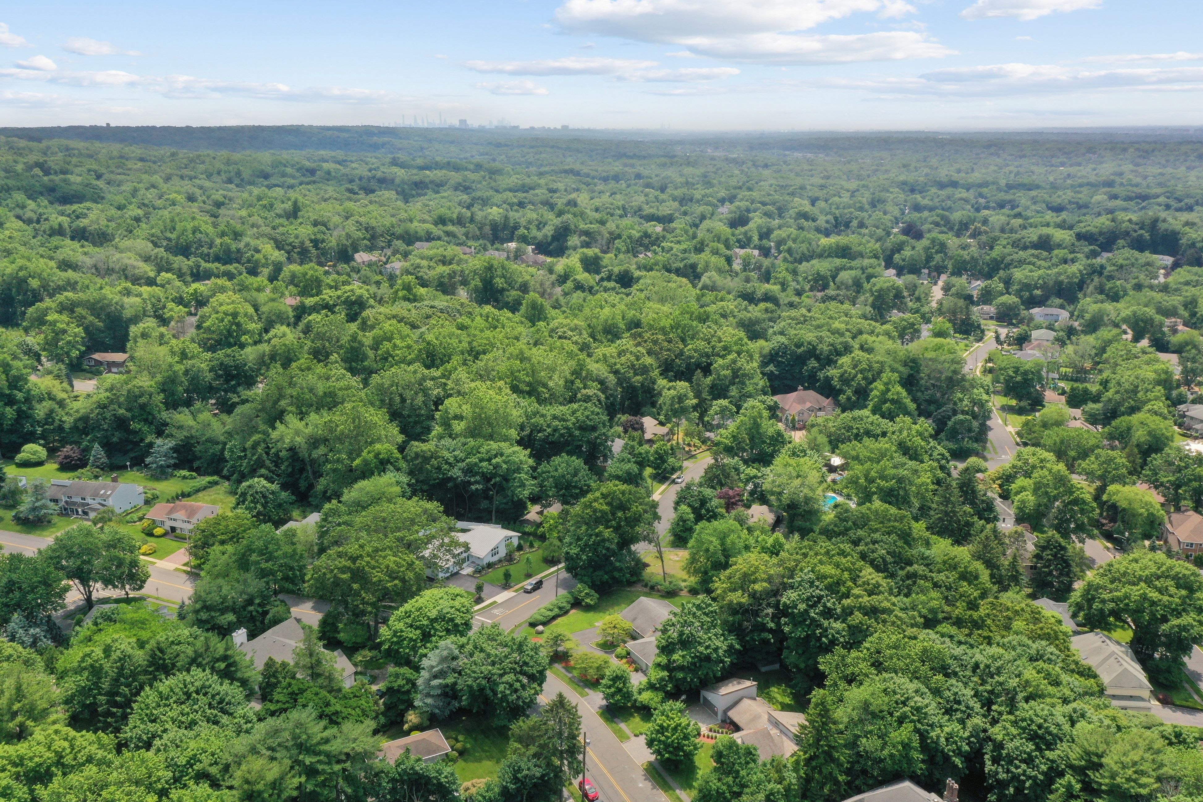 181 Alpine Drive 