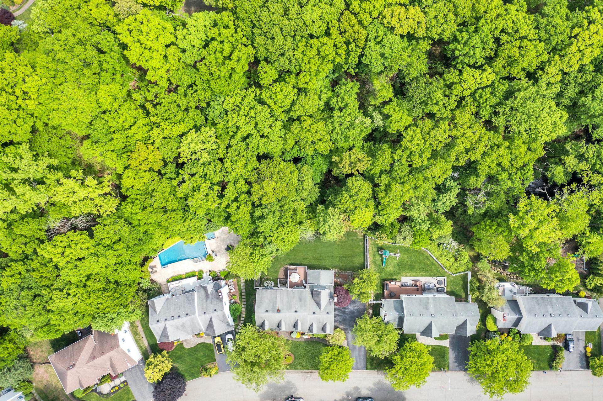 608 Bridle Path 