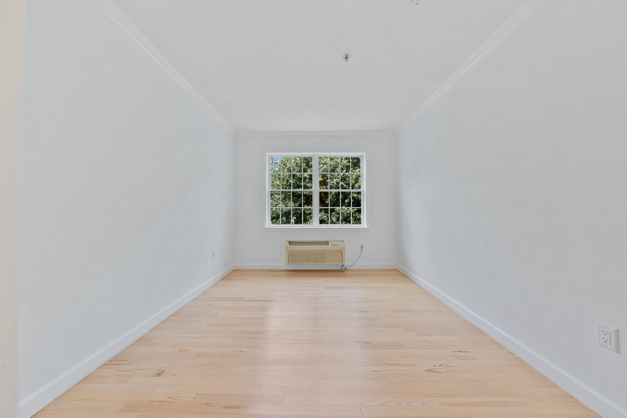 323 Willow Street Unit# 2L