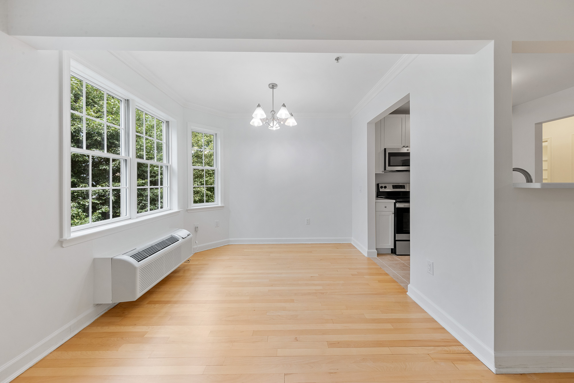 323 Willow Street Unit# 2L