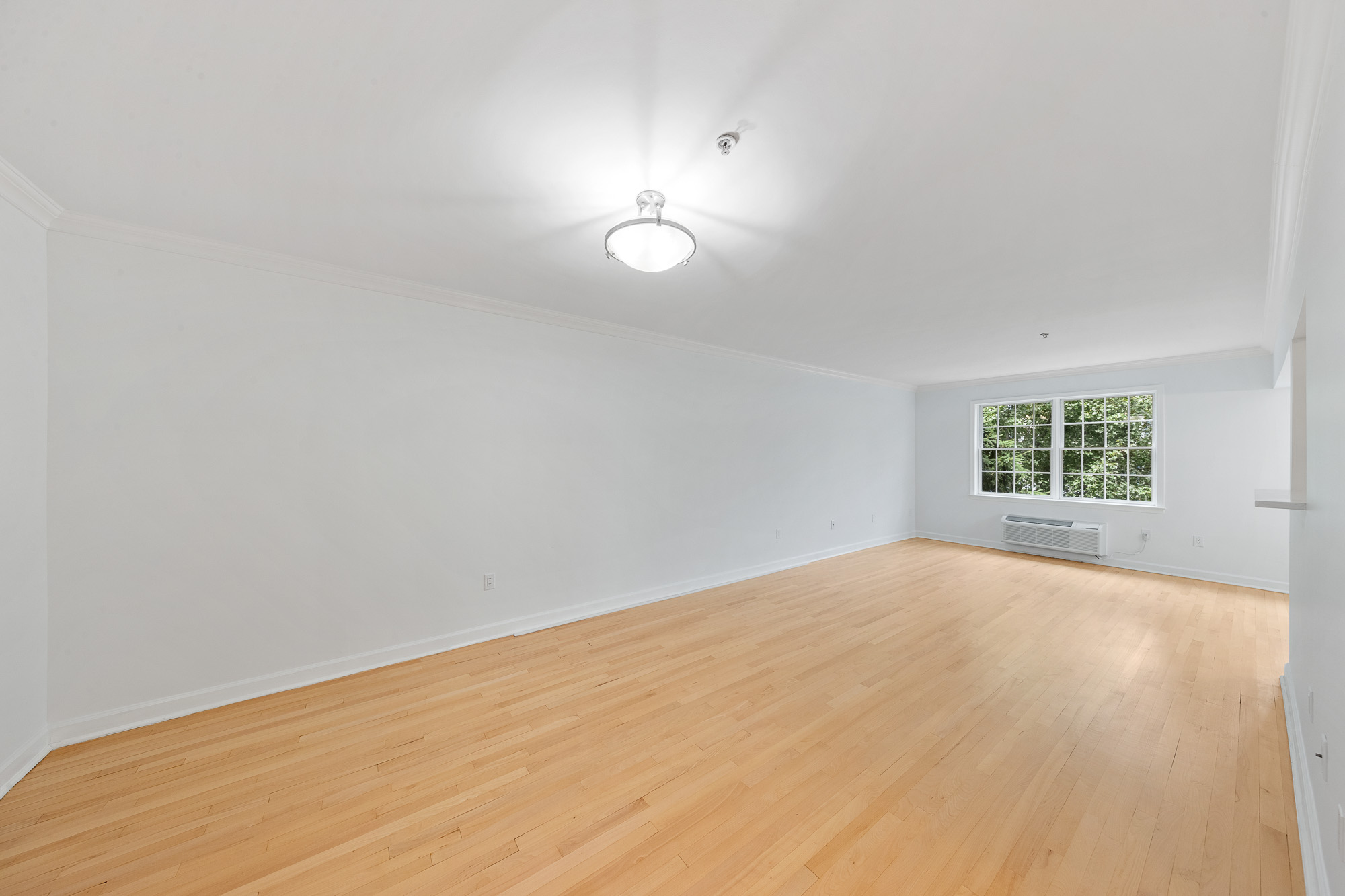 323 Willow Street Unit# 2L