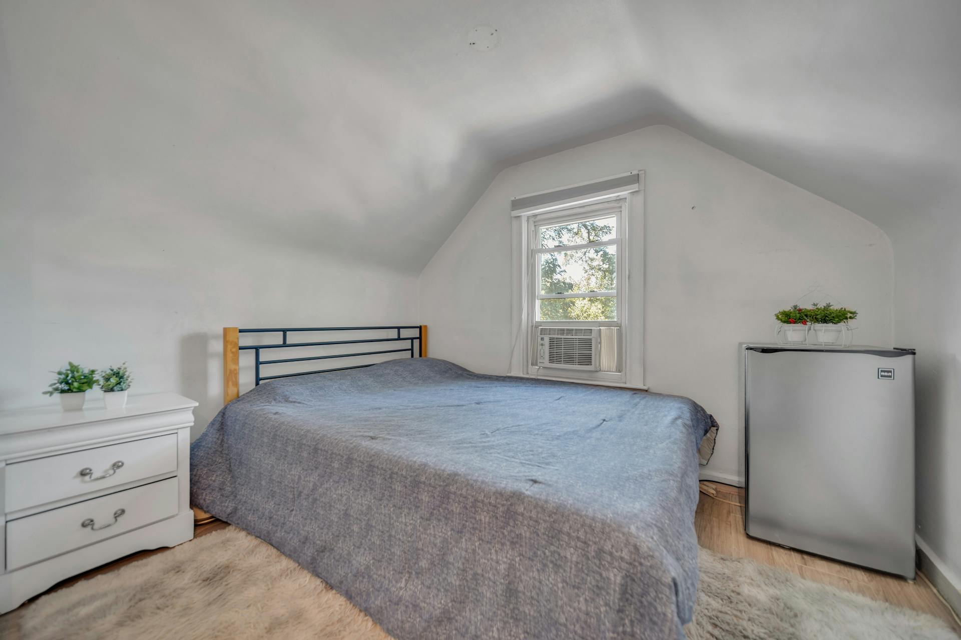 11 Woodbine Street 