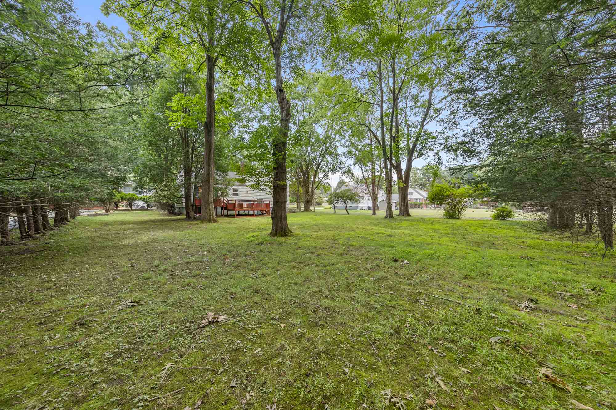 63 Harrington Avenue