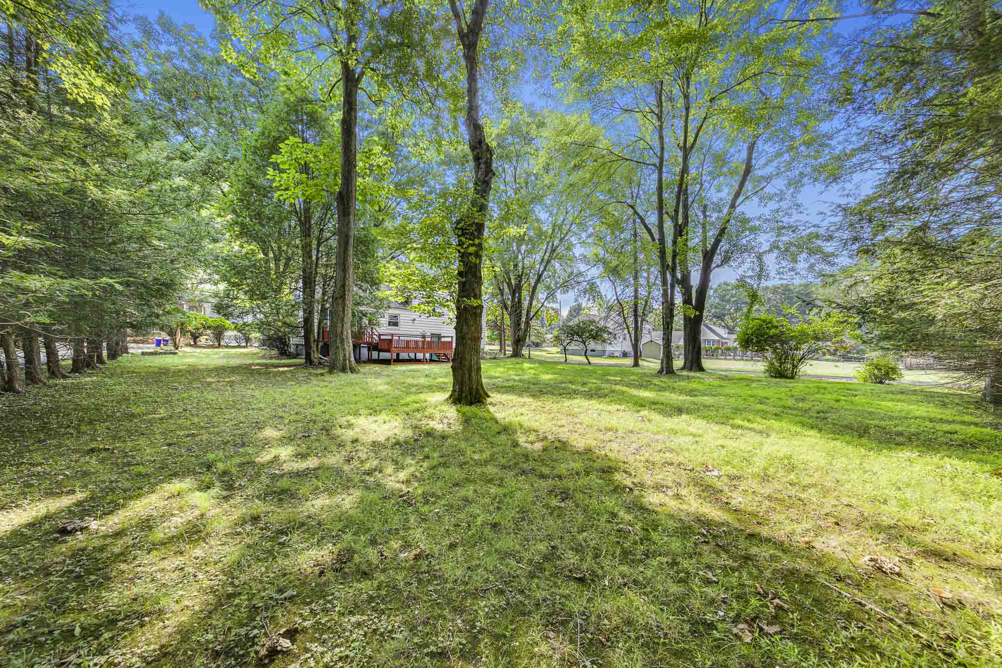 63 Harrington Avenue