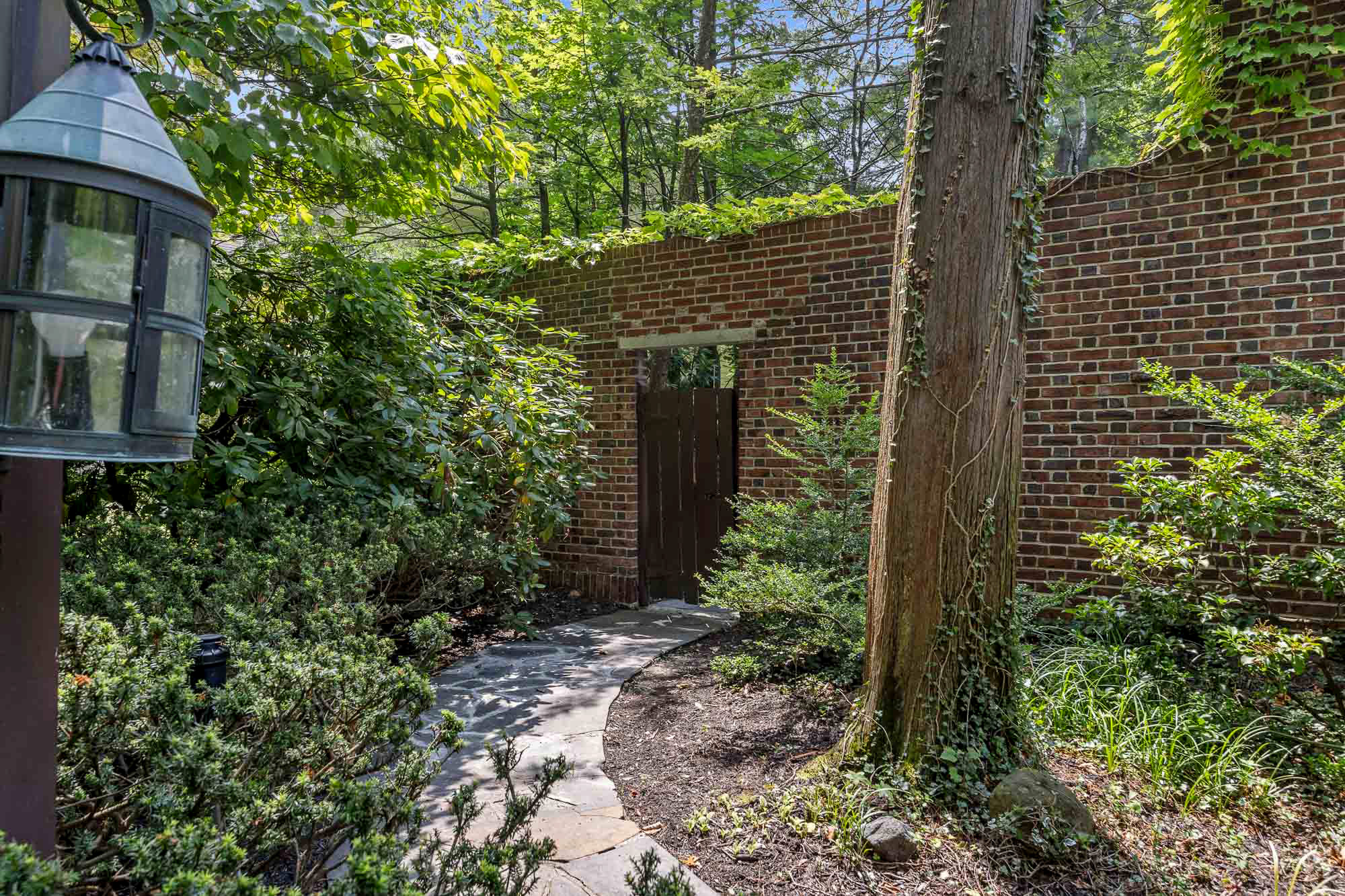 36 Forest Road 