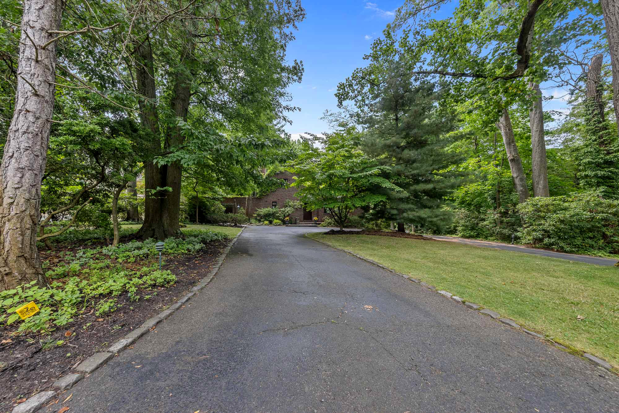 36 Forest Road 