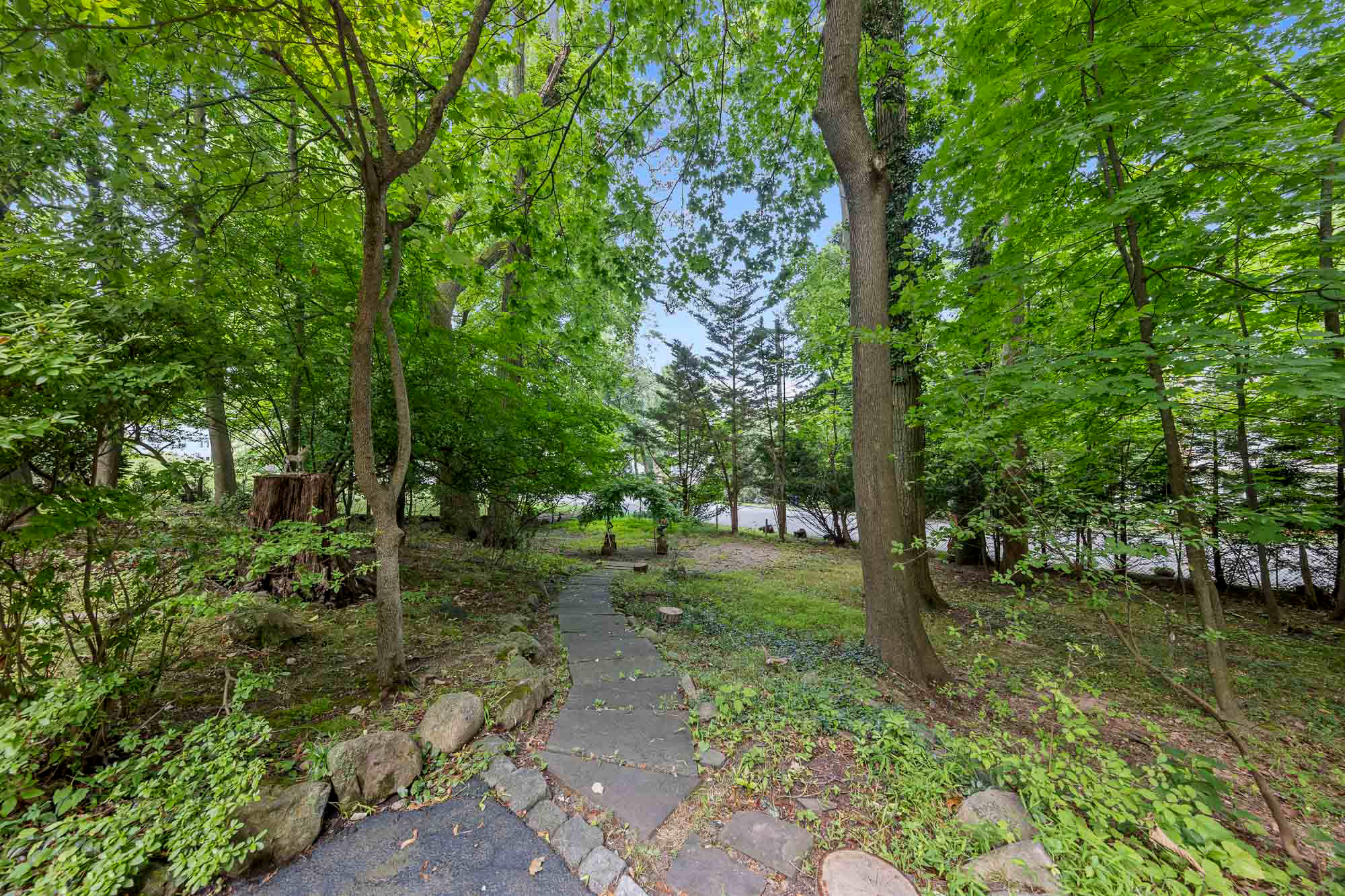 36 Forest Road 