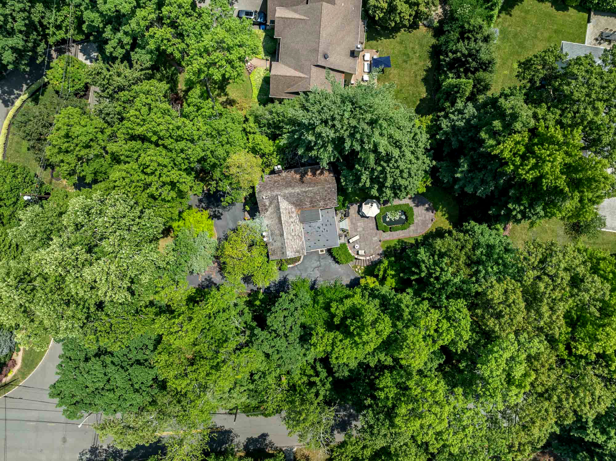 36 Forest Road 