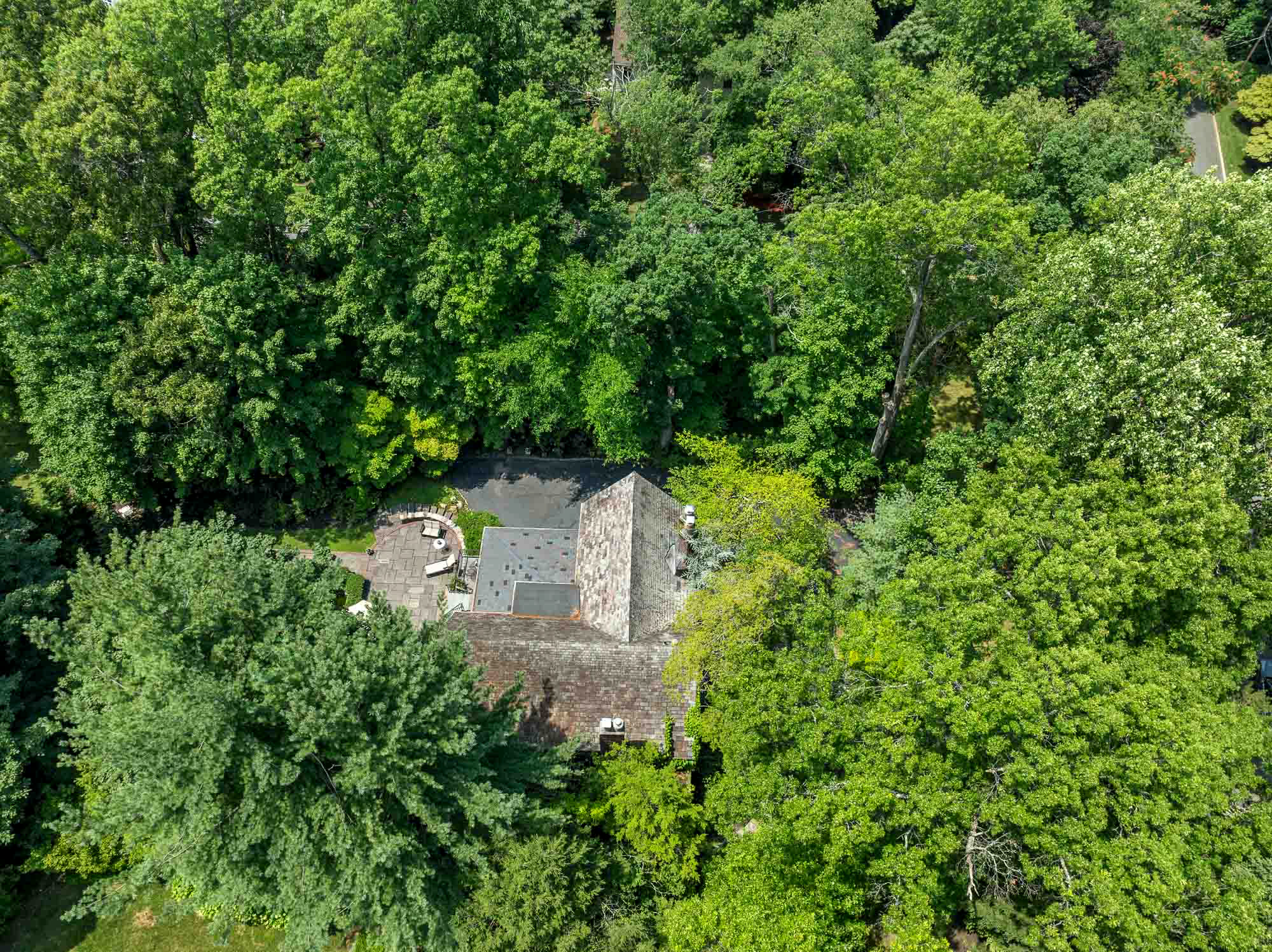 36 Forest Road 