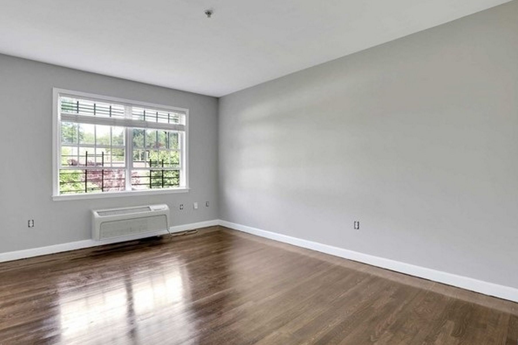323 Willow Street Unit# 3L