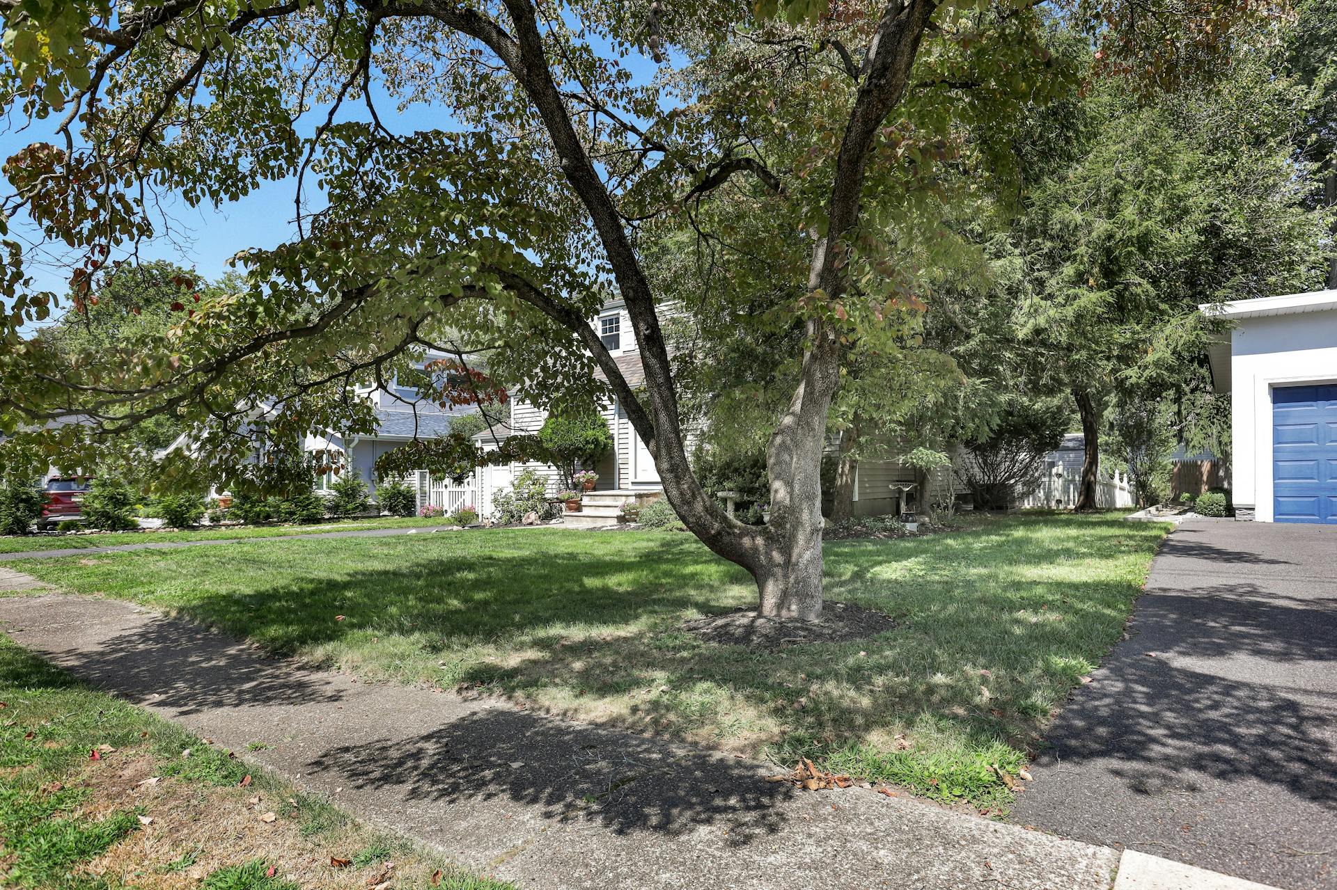 59 Delmar Avenue