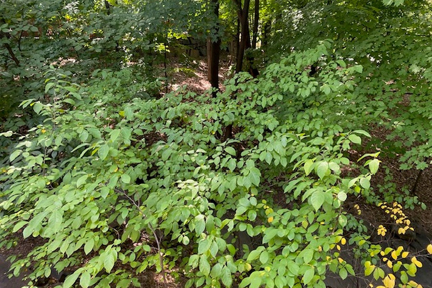 36 Hidden Ledge Road