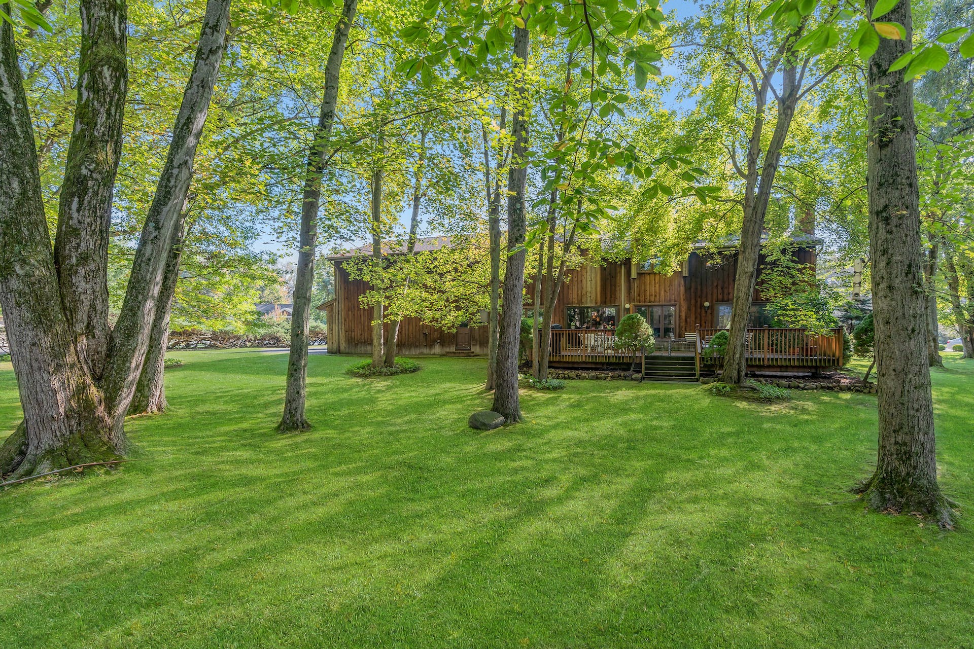 115 Dyer Court 