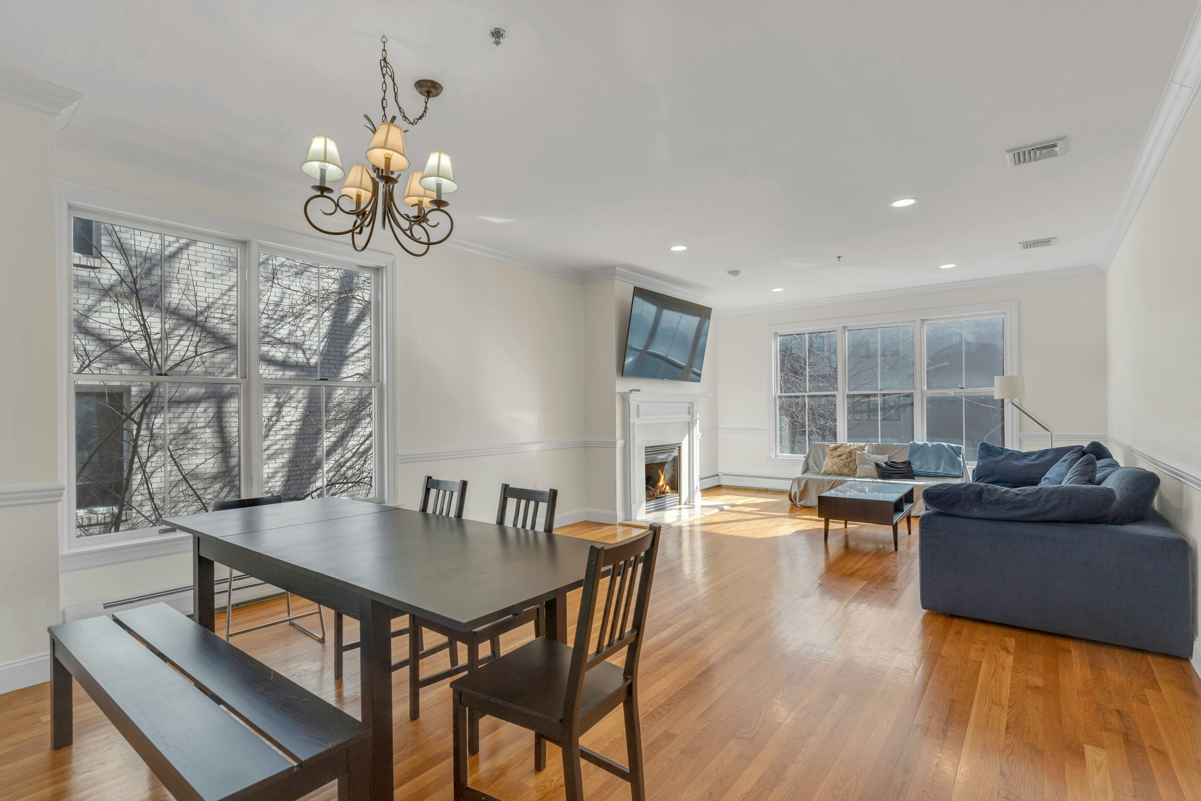 153 Cedar Street #C 