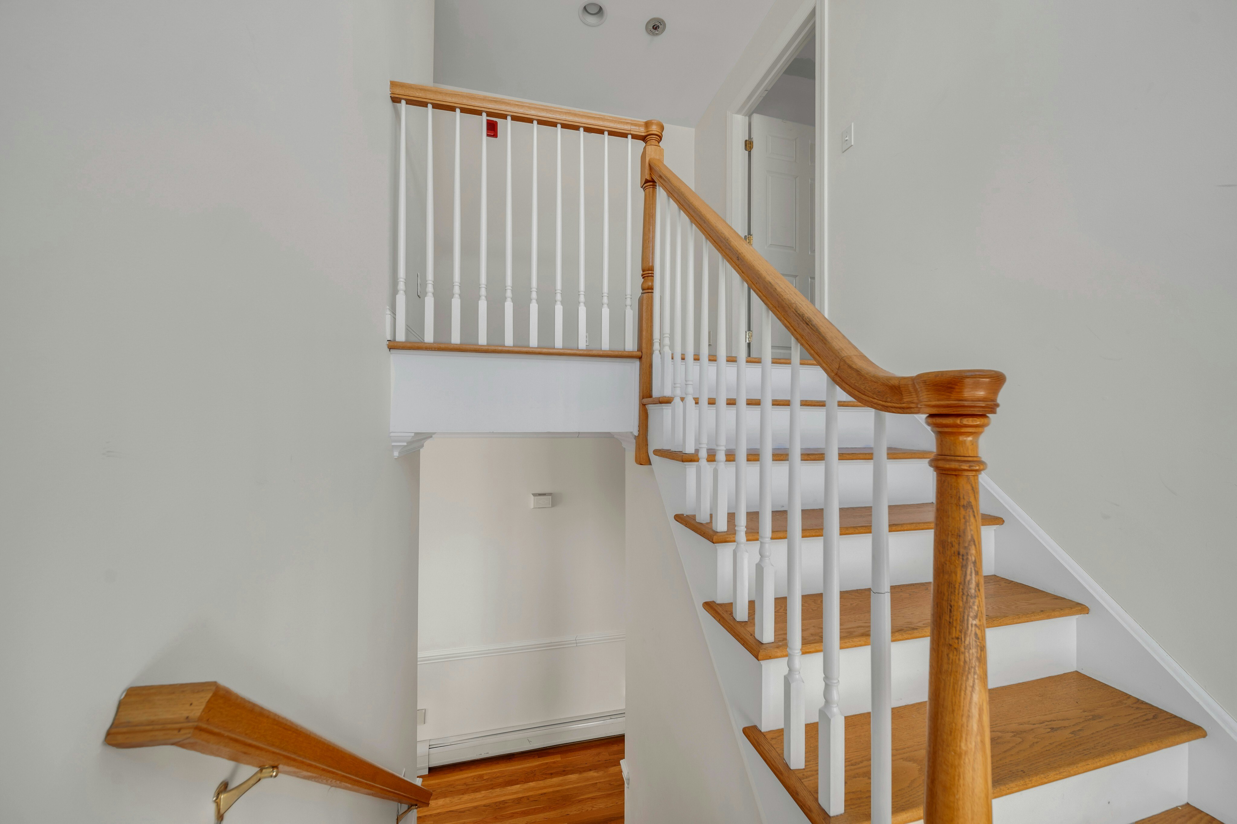 153 Cedar Street #C 