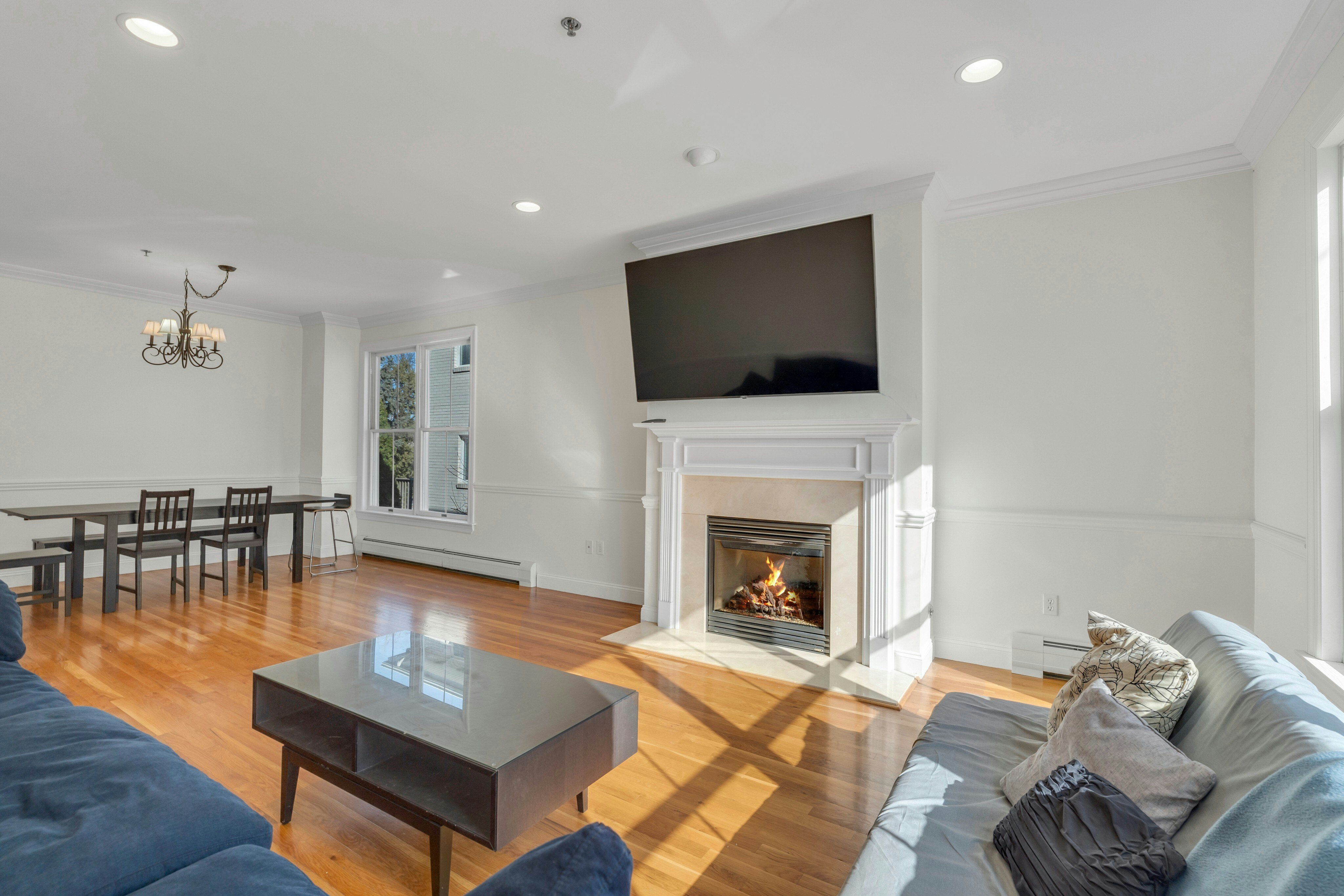 153 Cedar Street #C 