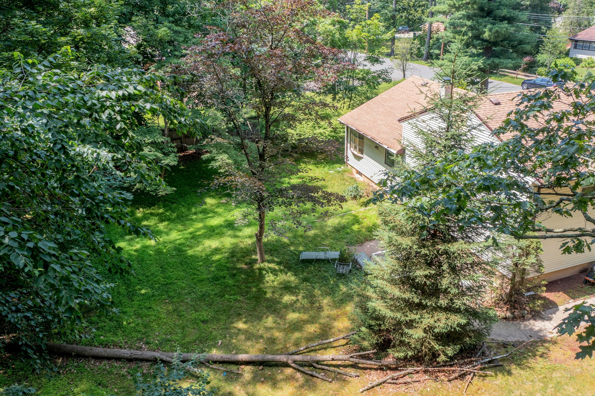 217 Alberon