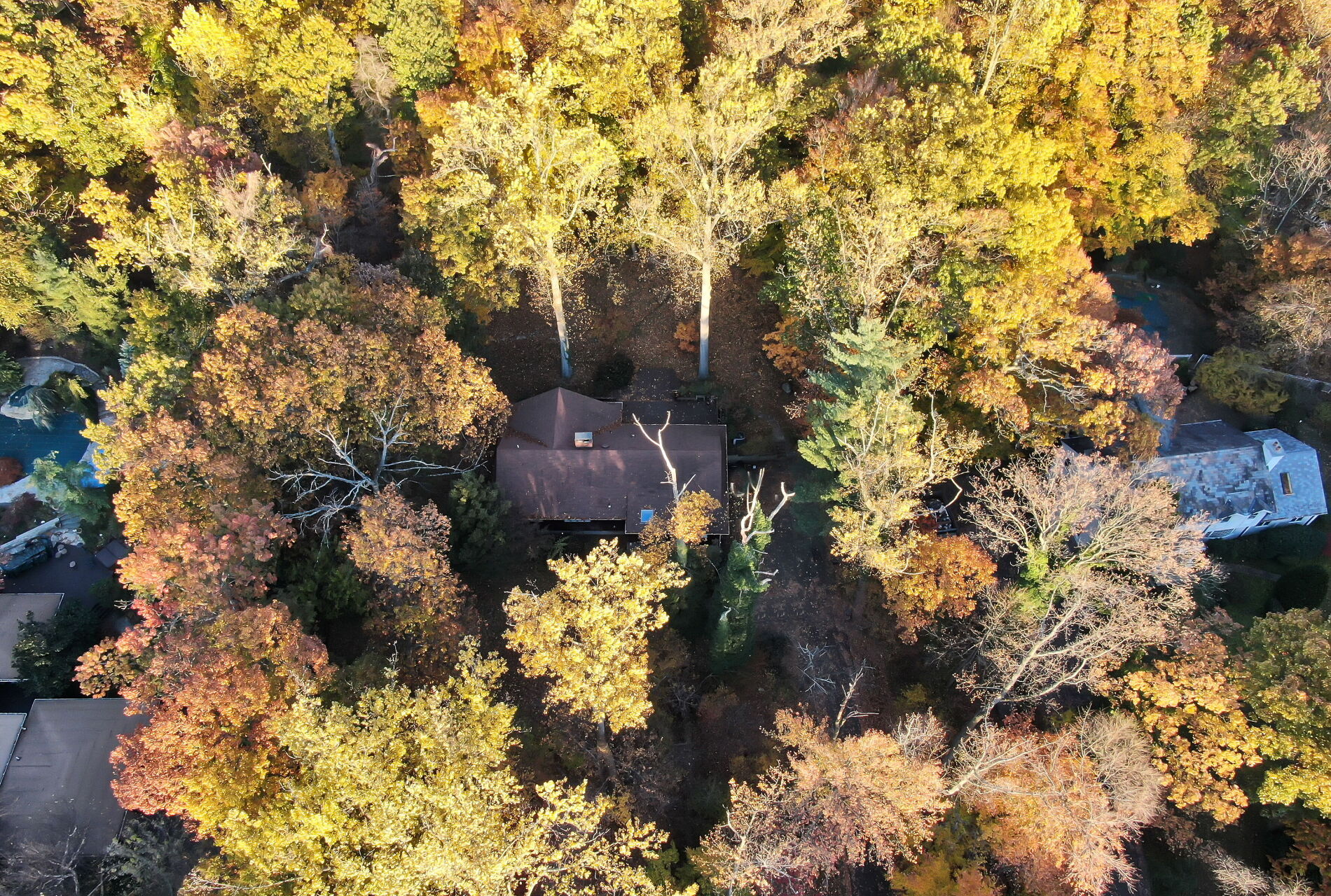 44 Robin Ln 