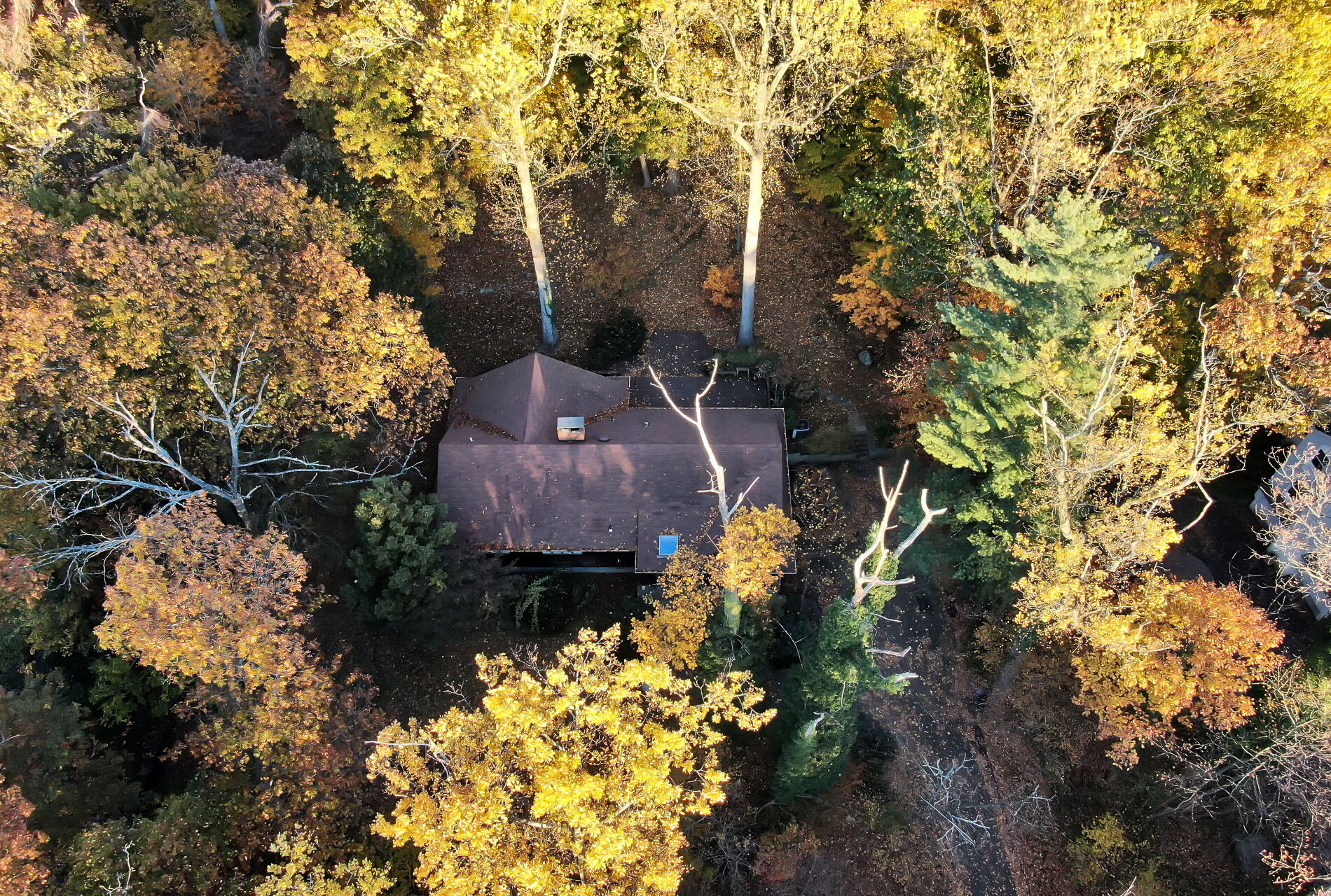 44 Robin Ln 
