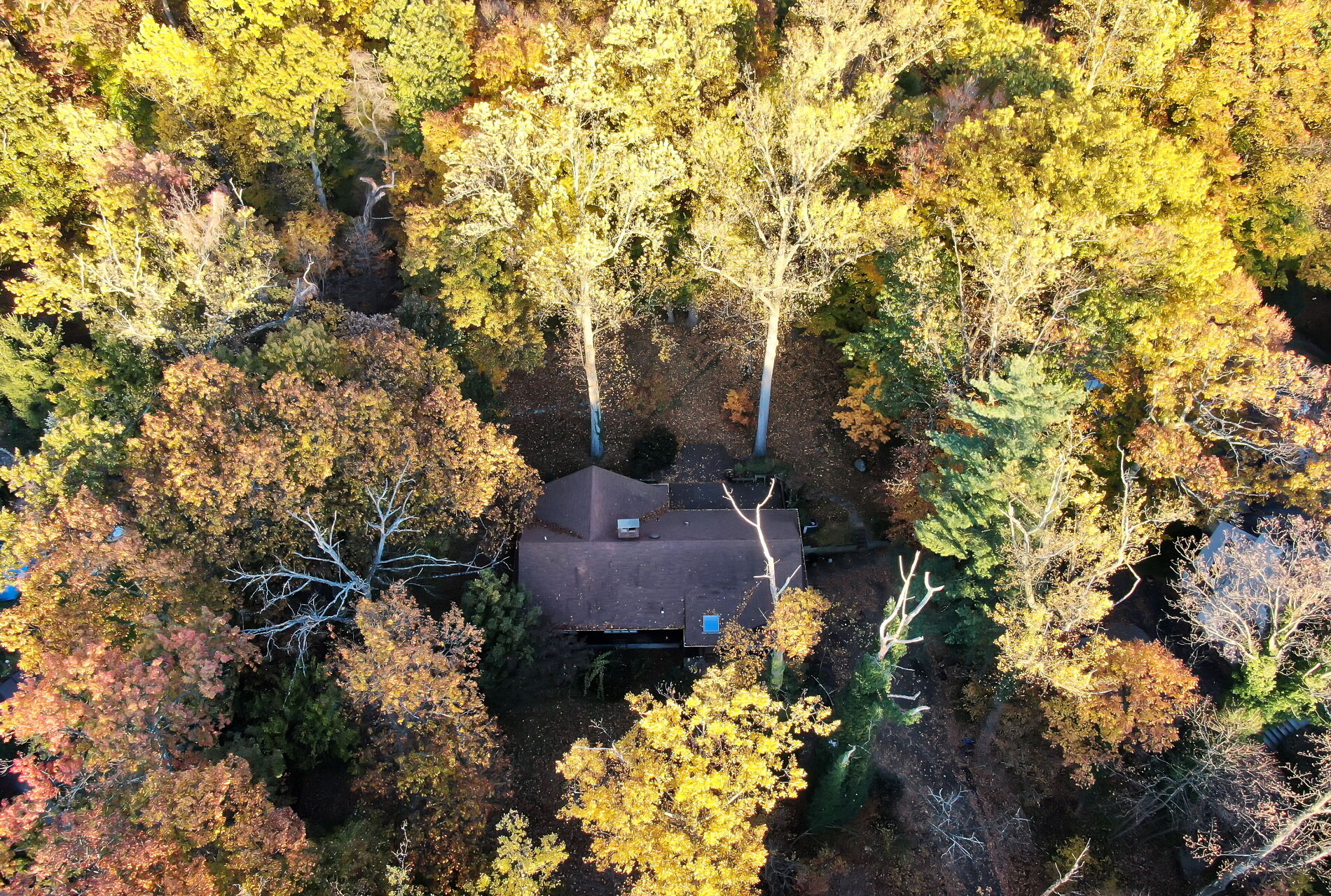 44 Robin Ln 