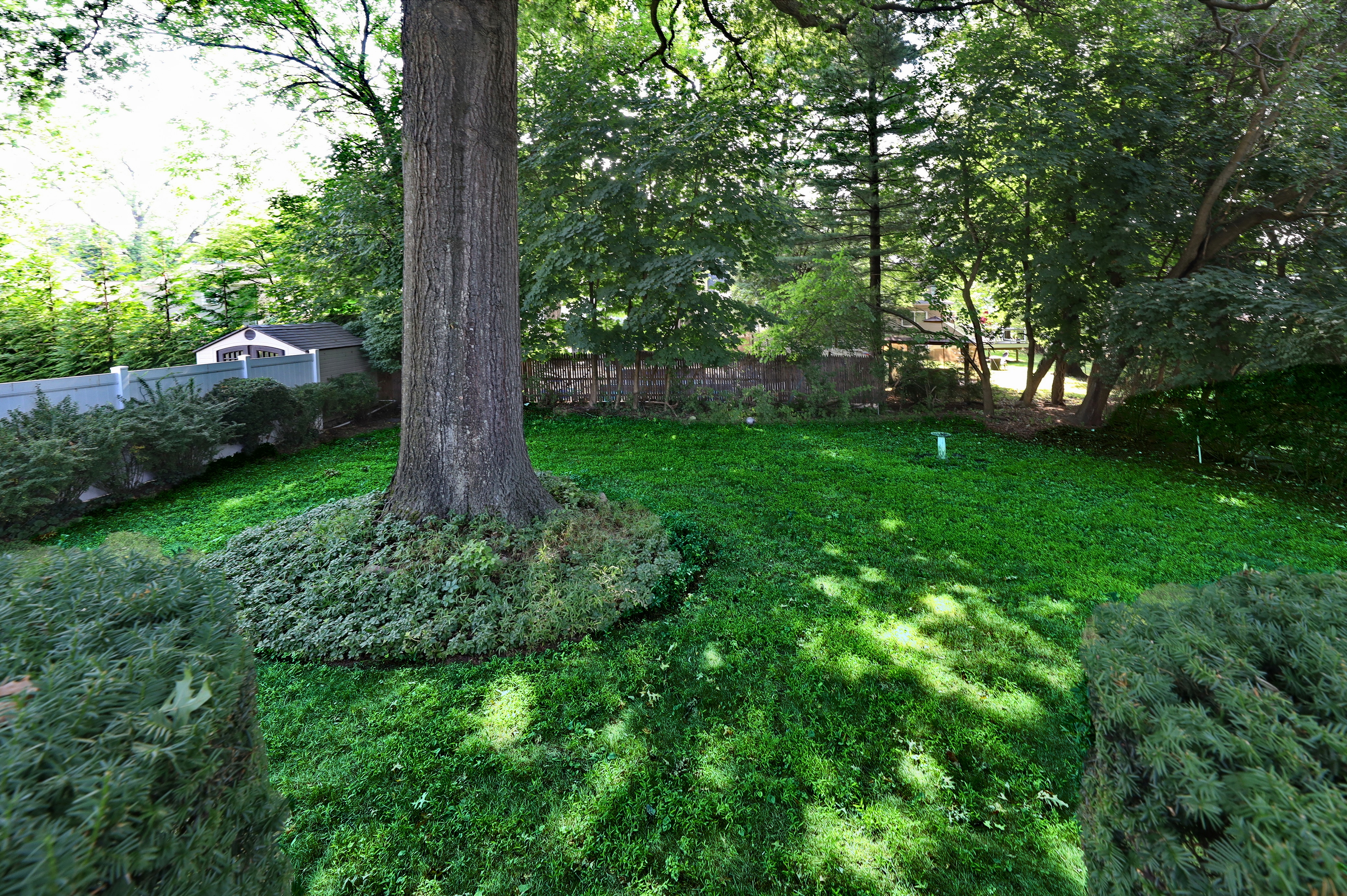 136 Elm Street