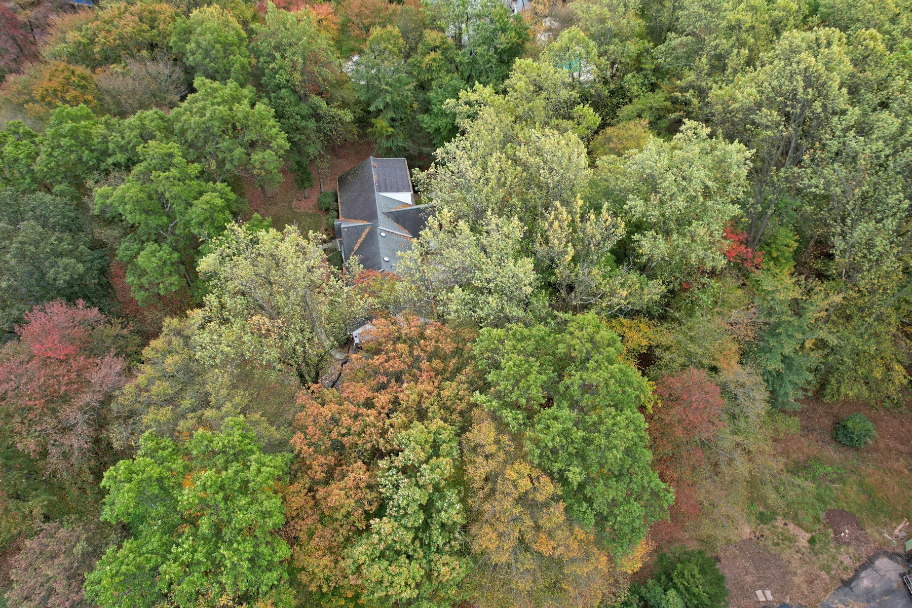 5 Elden Drive 