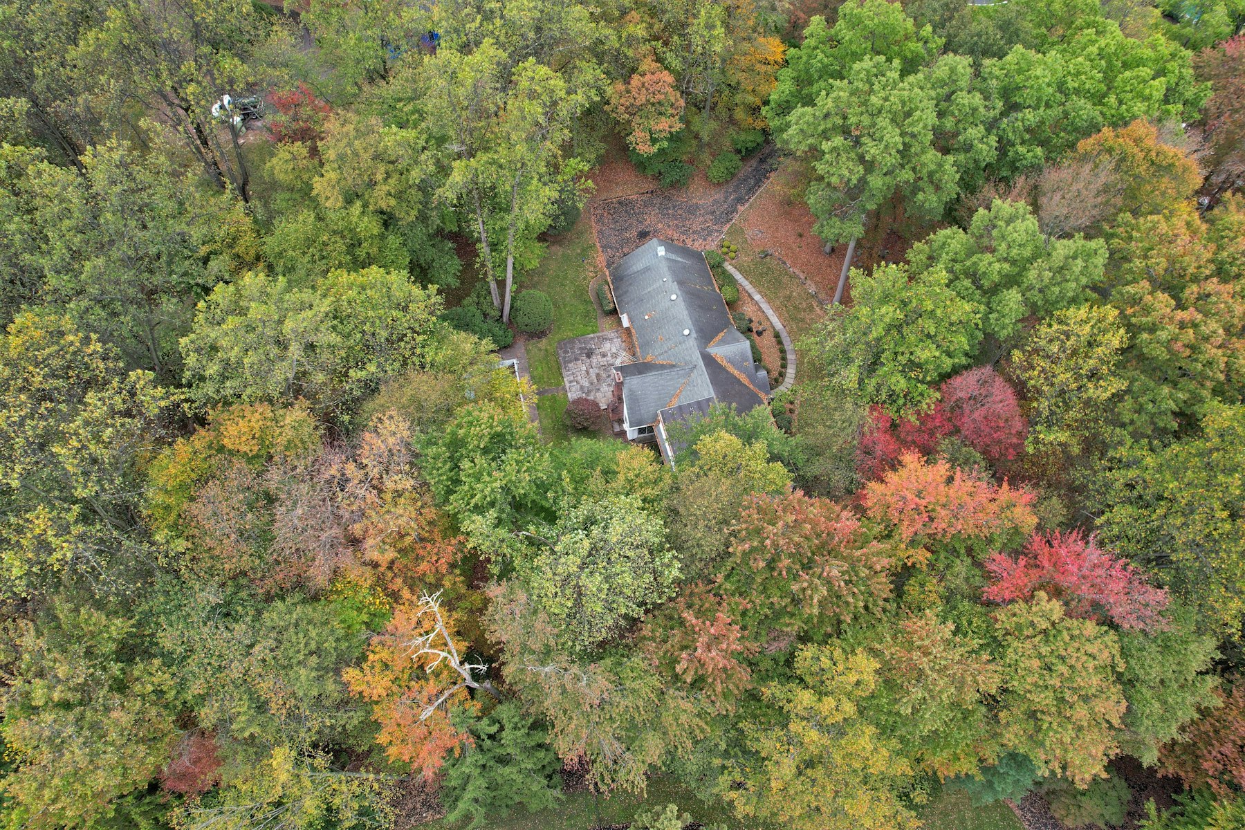 5 Elden Drive 