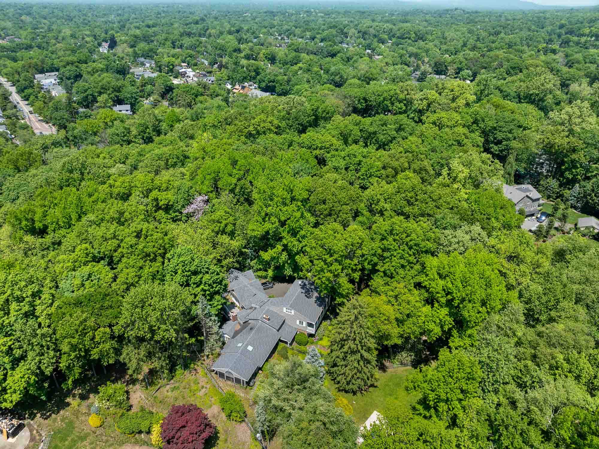3 Lambs Lane