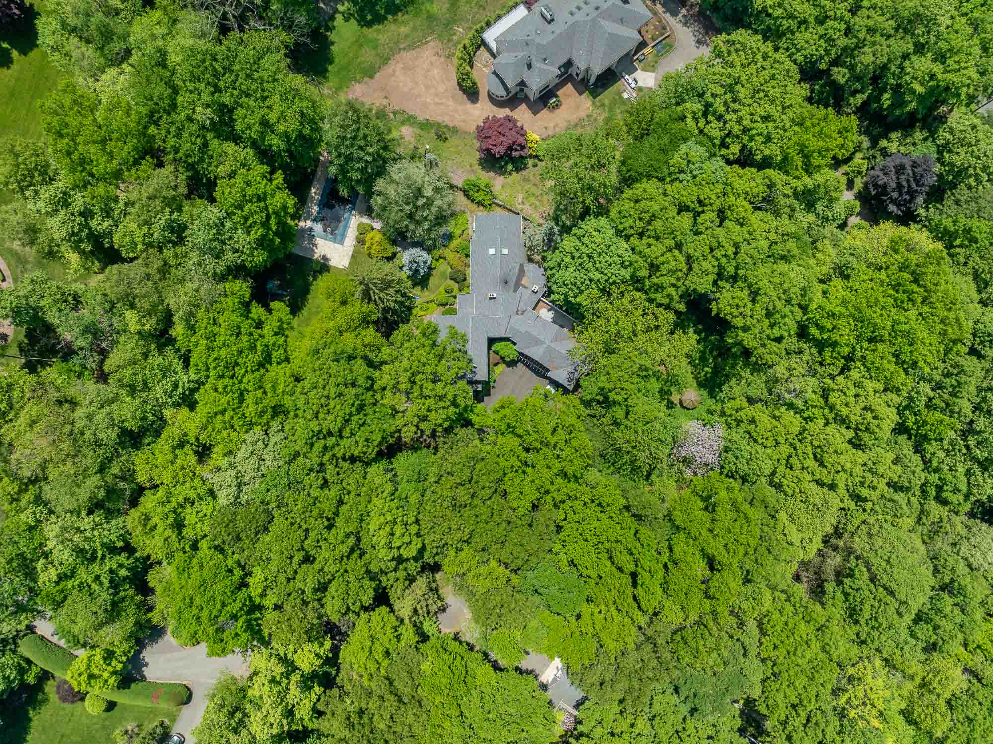 3 Lambs Lane
